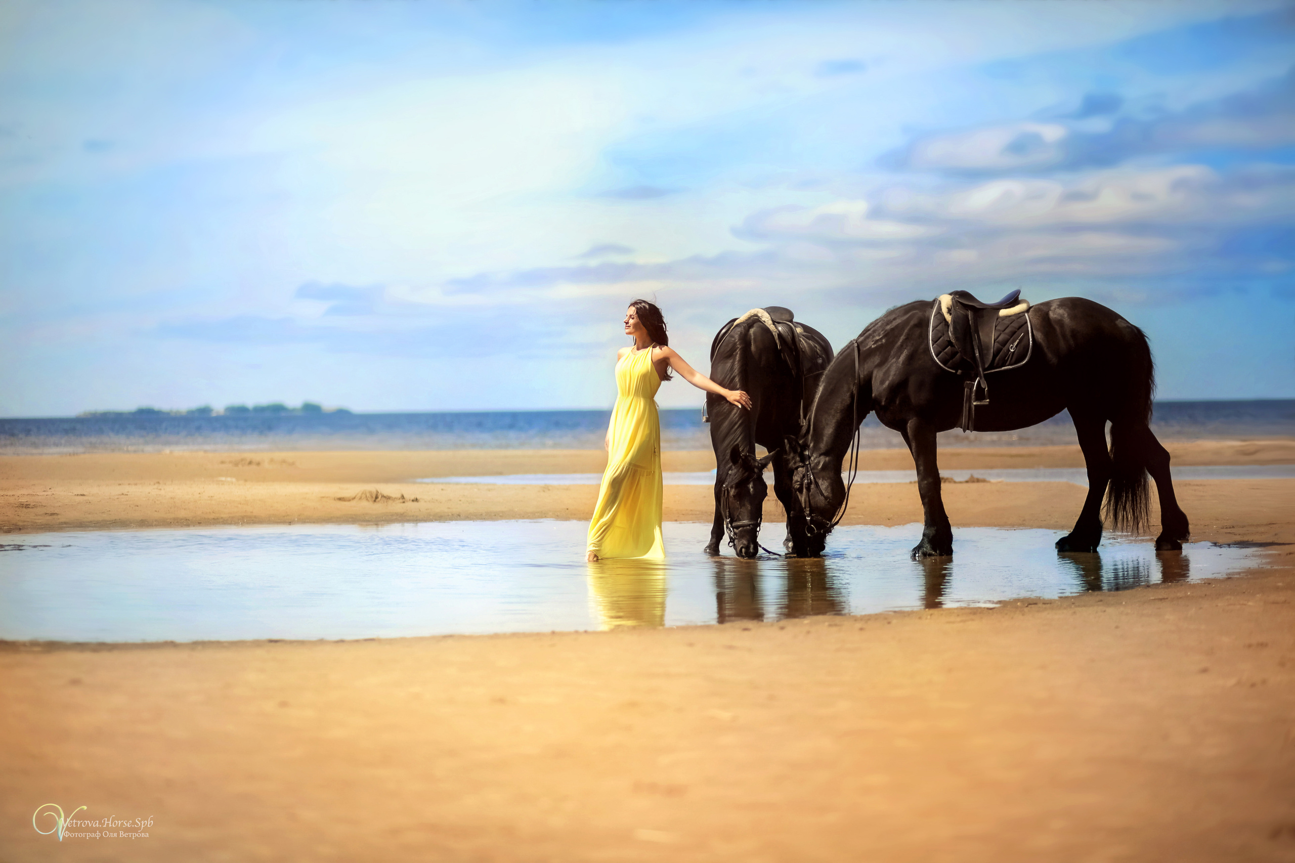 Фотосессия  с двумя конями в Санкт-Петербурге. Фотограф женский и мужской портрет Санкт-Петербург