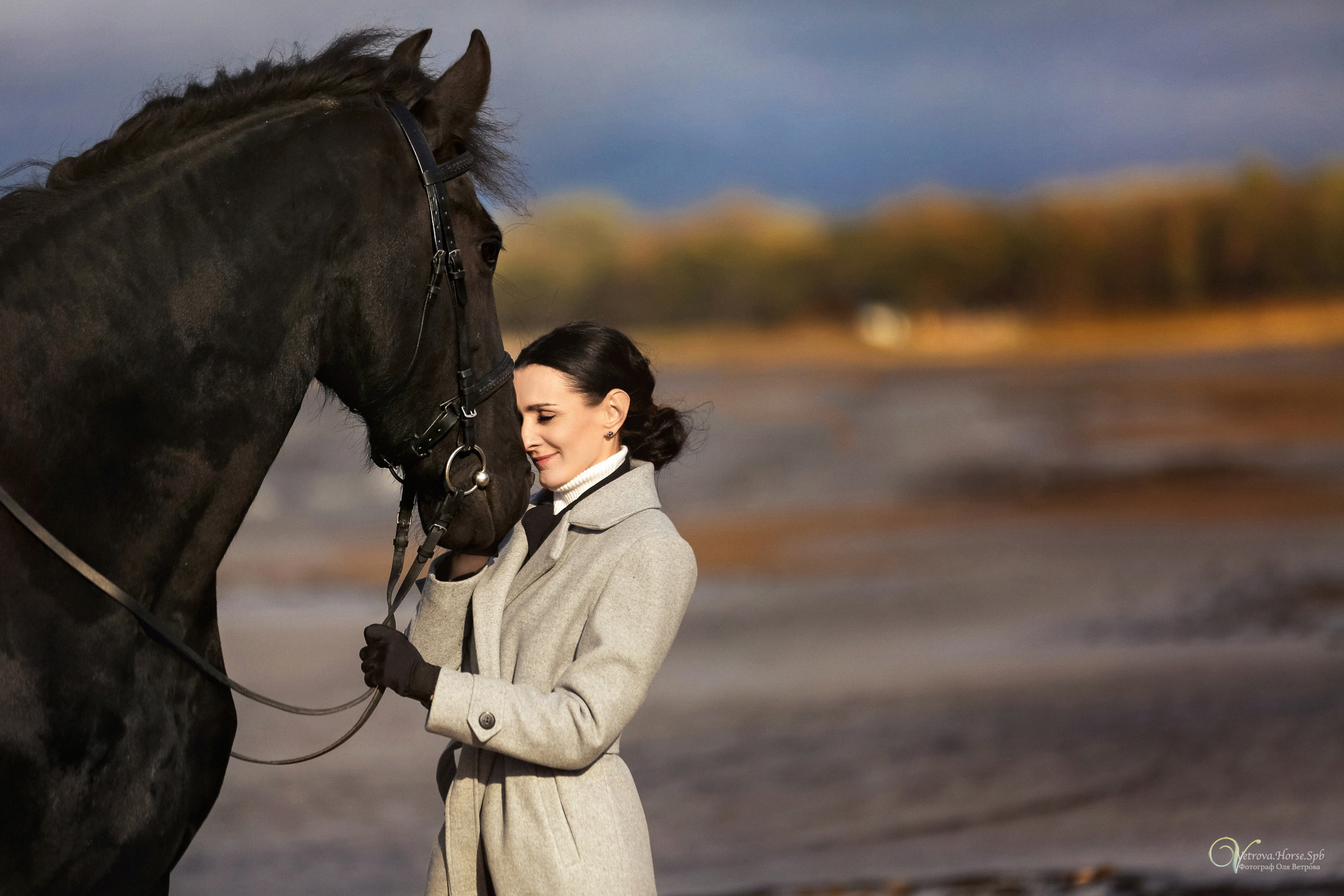 Залив  и лошади. Фотограф женский и мужской портрет Санкт-Петербург