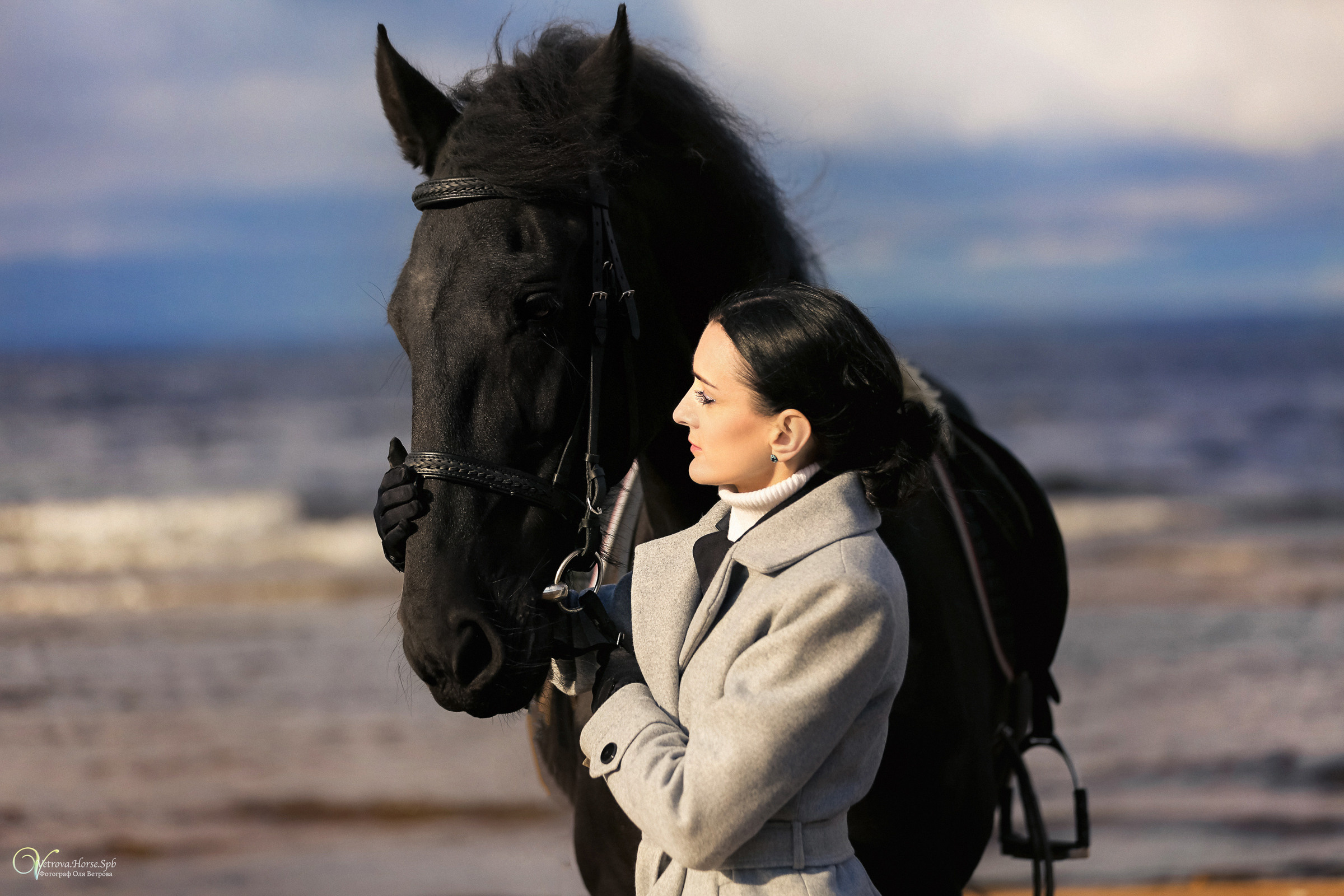 Залив  и лошади. Фотограф женский и мужской портрет Санкт-Петербург