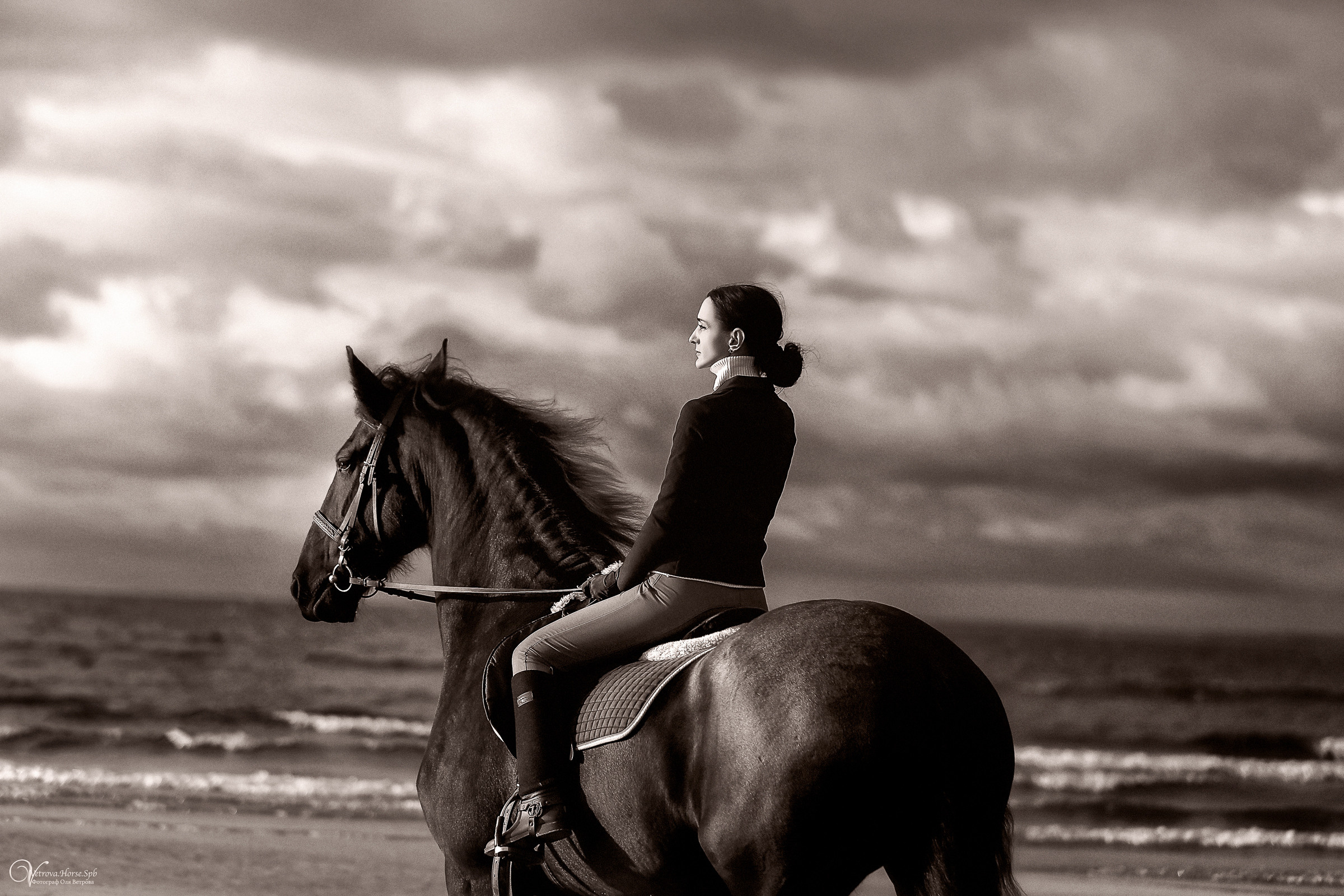 Осенняя съемка с лошадью В СПБ. Фотограф женский и мужской портрет Санкт-Петербург