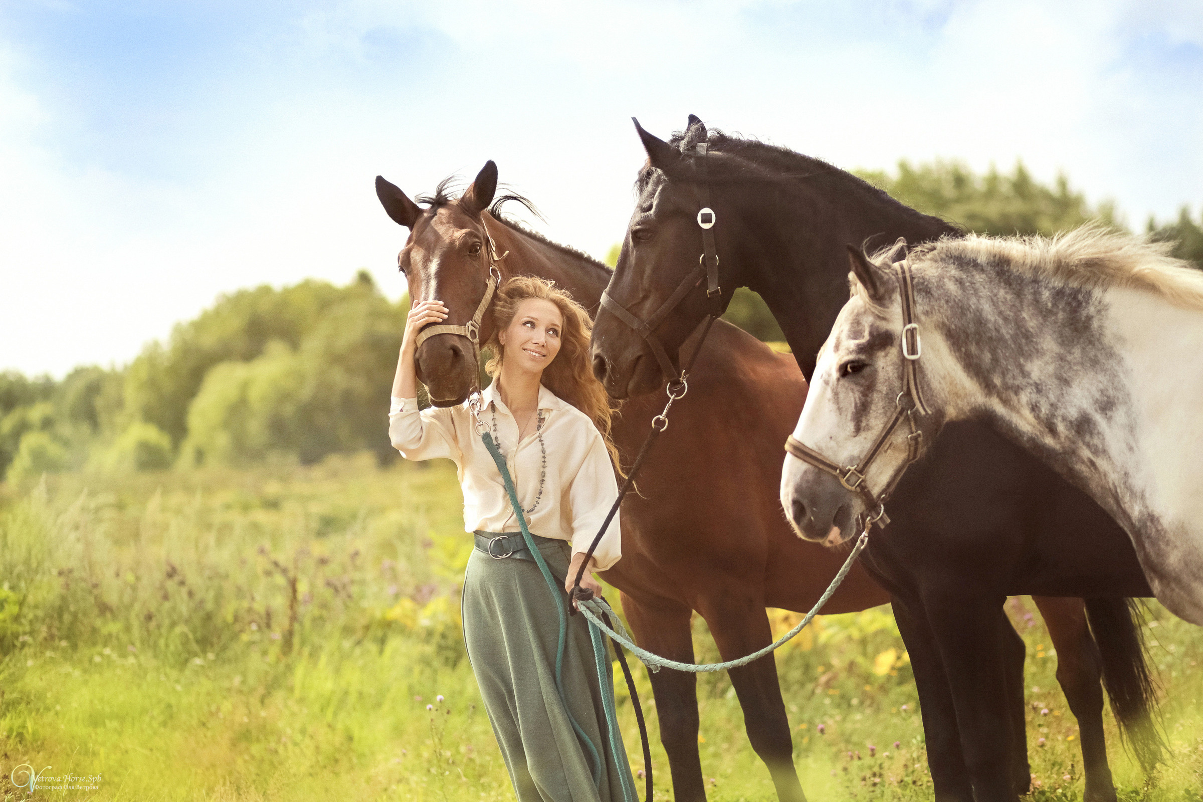 Съемка с тремя лошадьми в поле. Фотограф женский и мужской портрет Санкт-Петербург