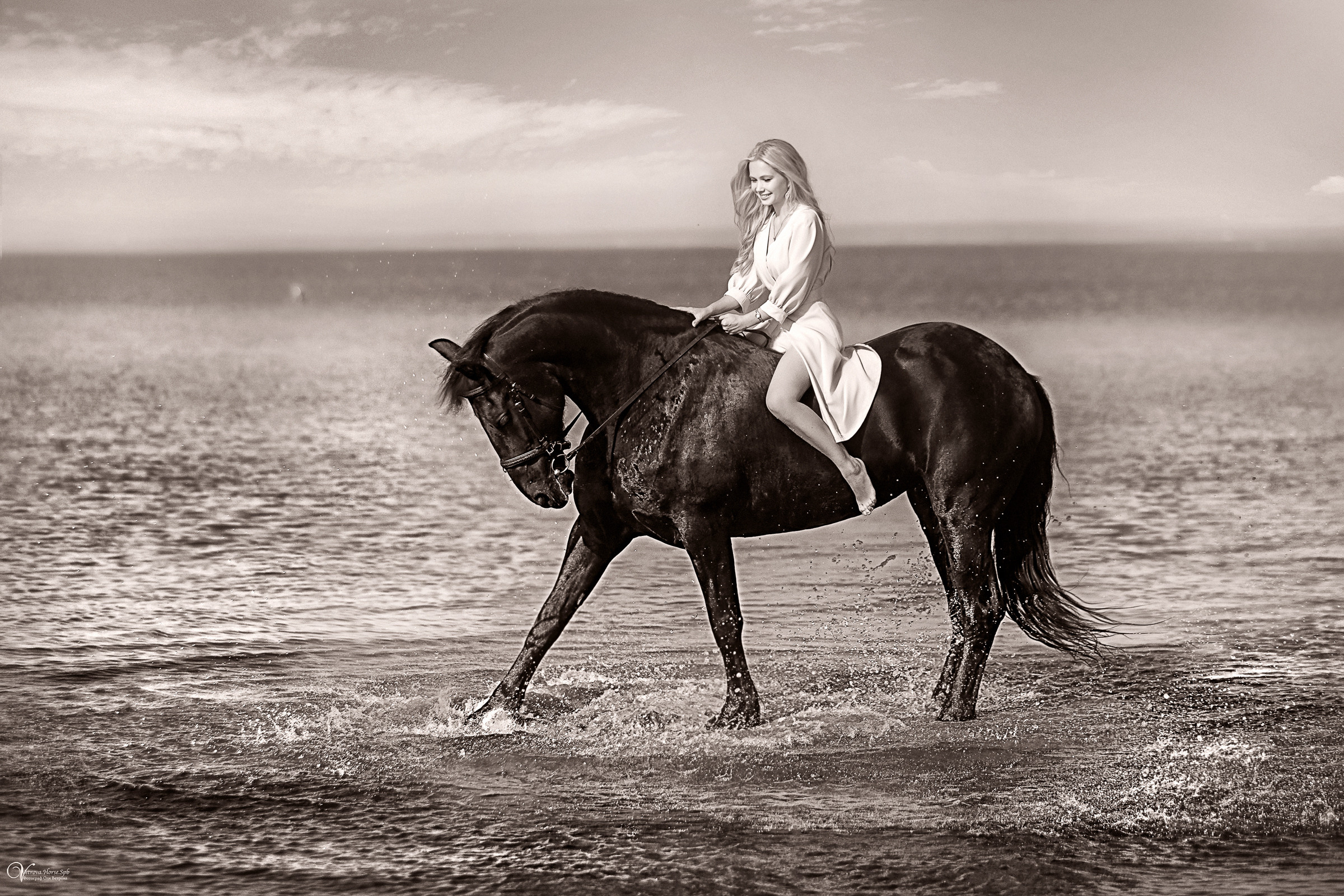 Фотосессия с вороным конем в СПб. Фотограф женский и мужской портрет Санкт-Петербург