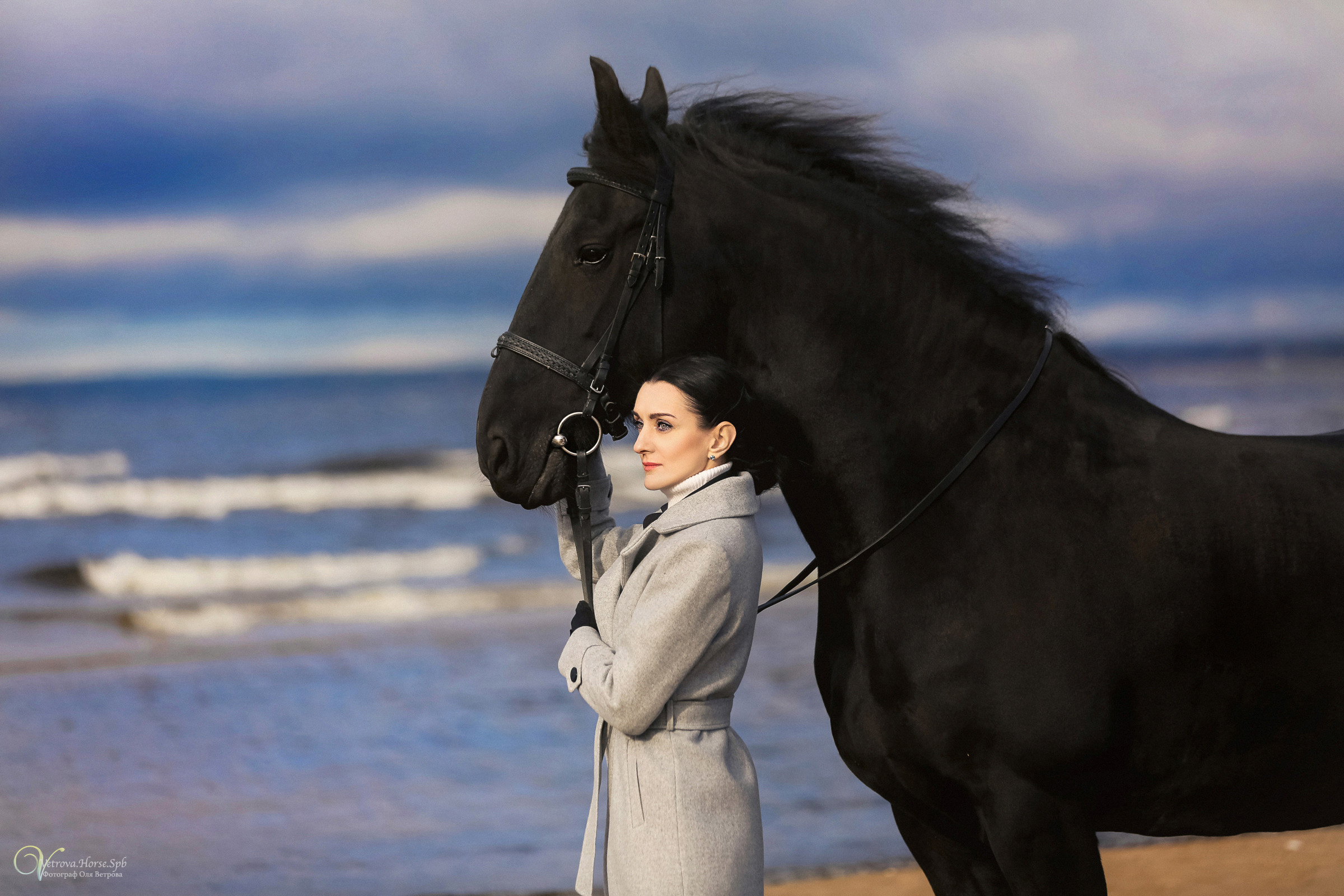 Залив  и лошади. Фотограф женский и мужской портрет Санкт-Петербург