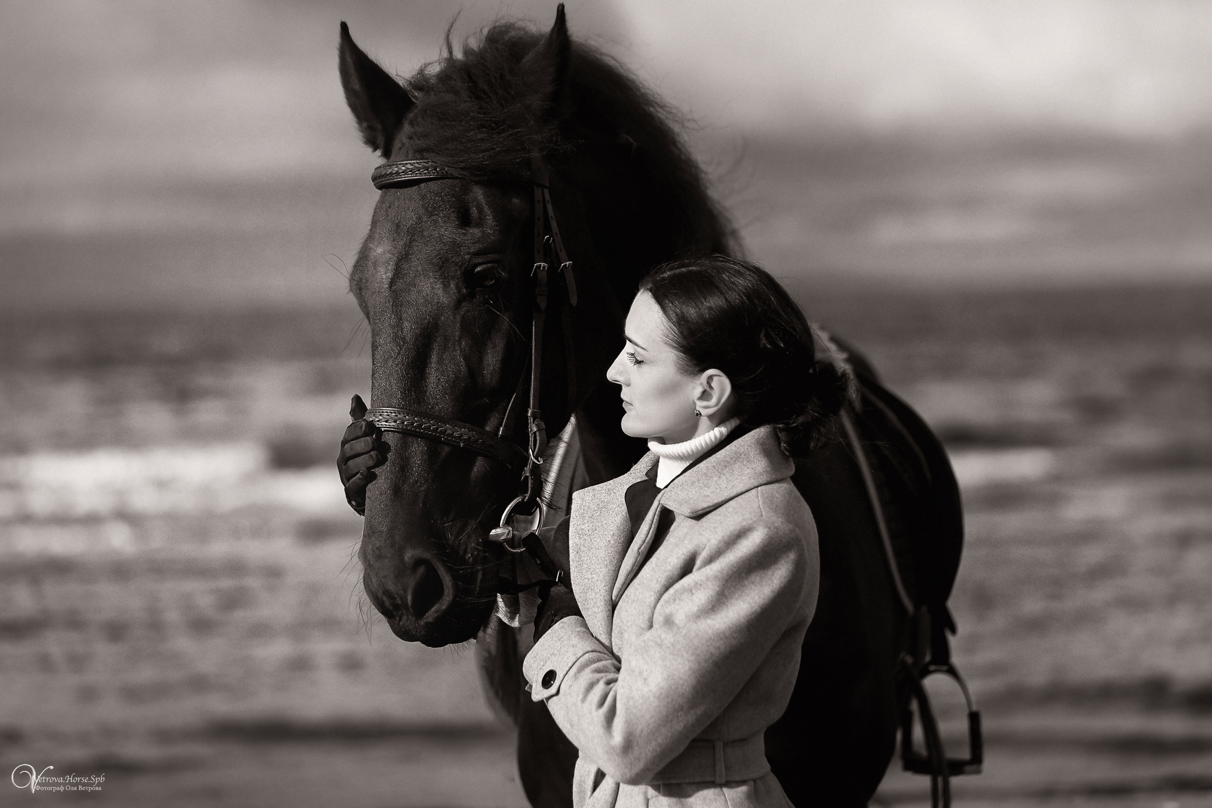 Залив  и лошади. Фотограф женский и мужской портрет Санкт-Петербург