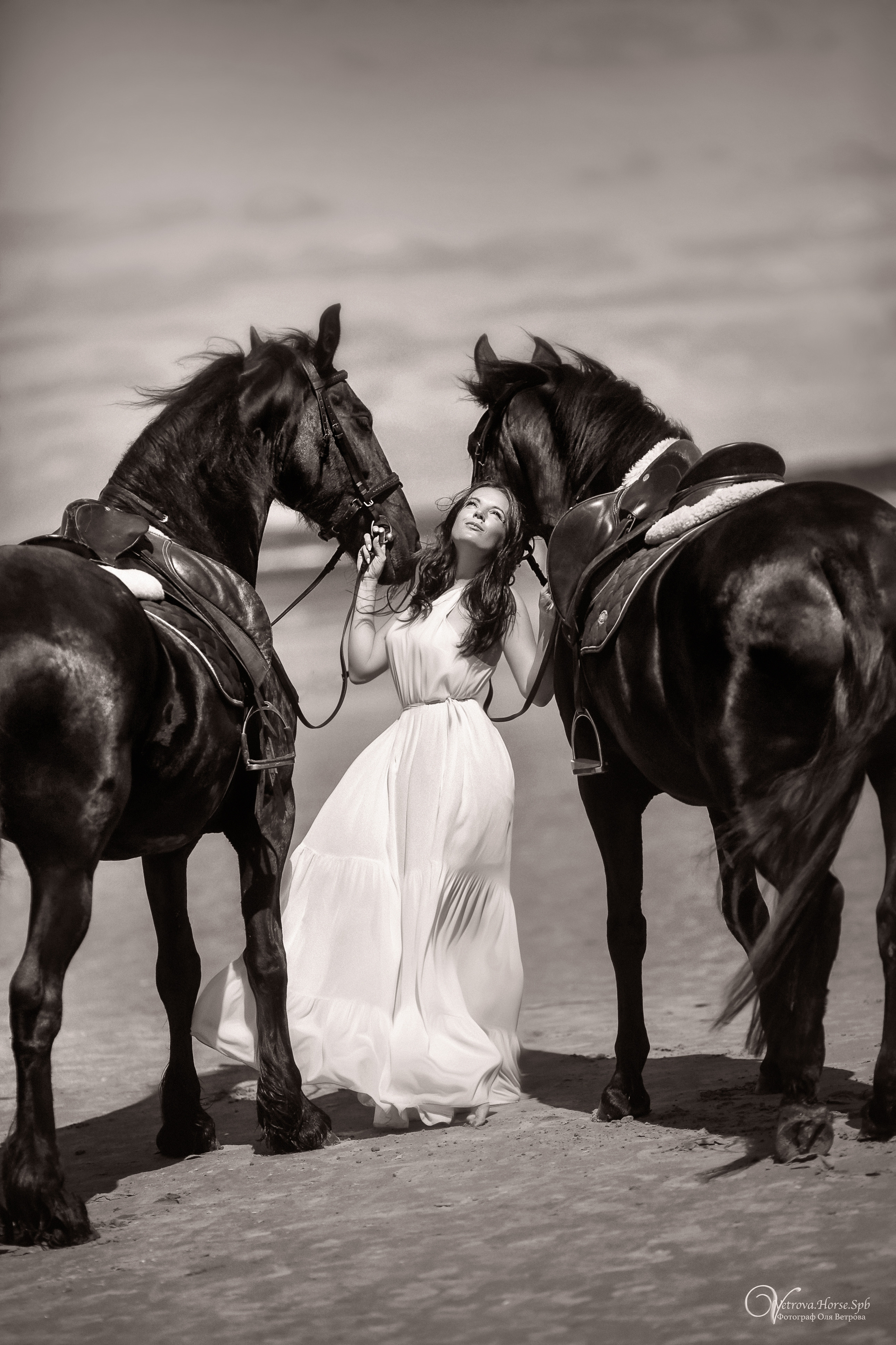 Фотосессия  с двумя конями в Санкт-Петербурге. Фотограф женский и мужской портрет Санкт-Петербург