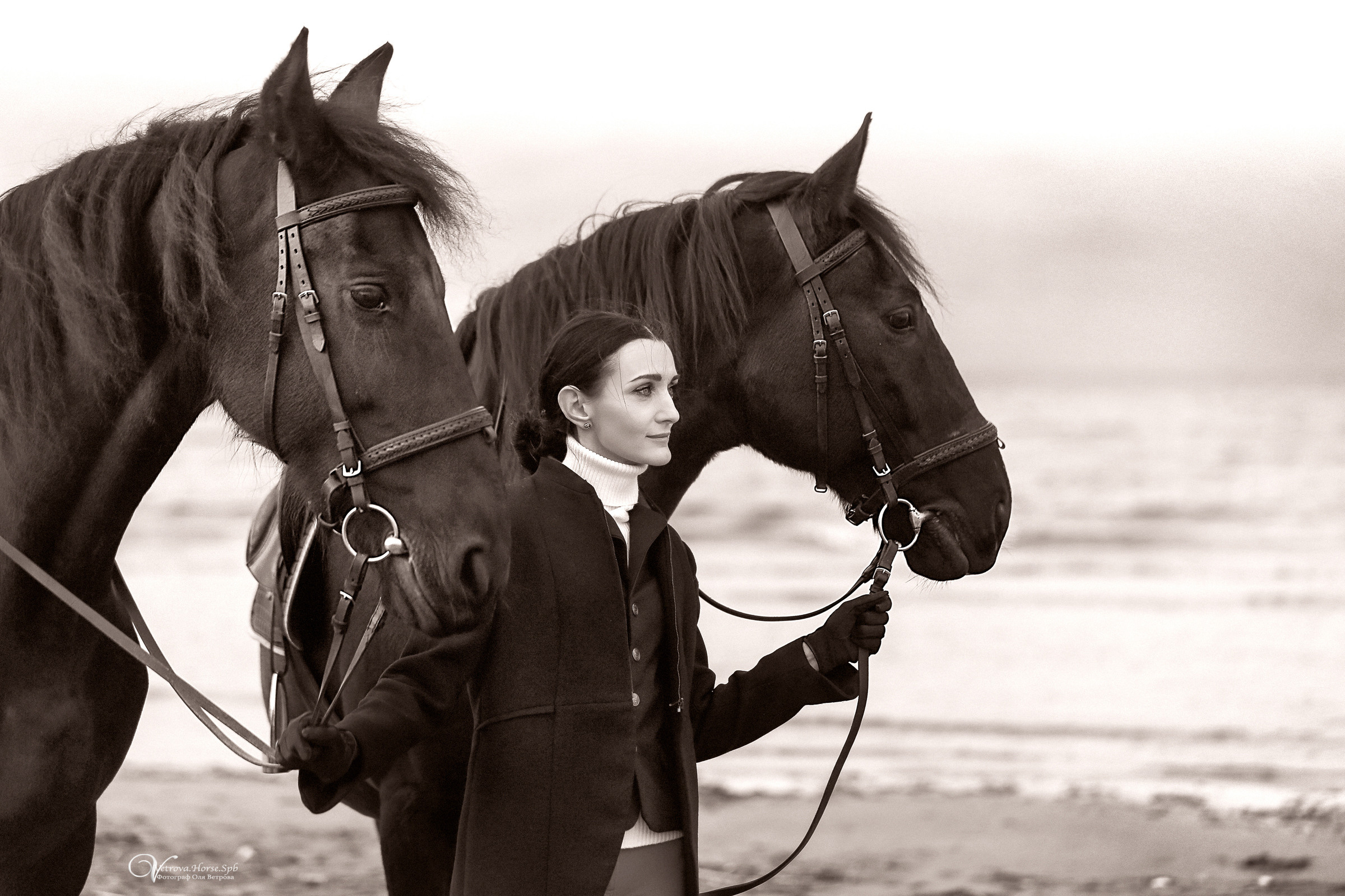 Два коня на заливе. Фотограф женский и мужской портрет Санкт-Петербург