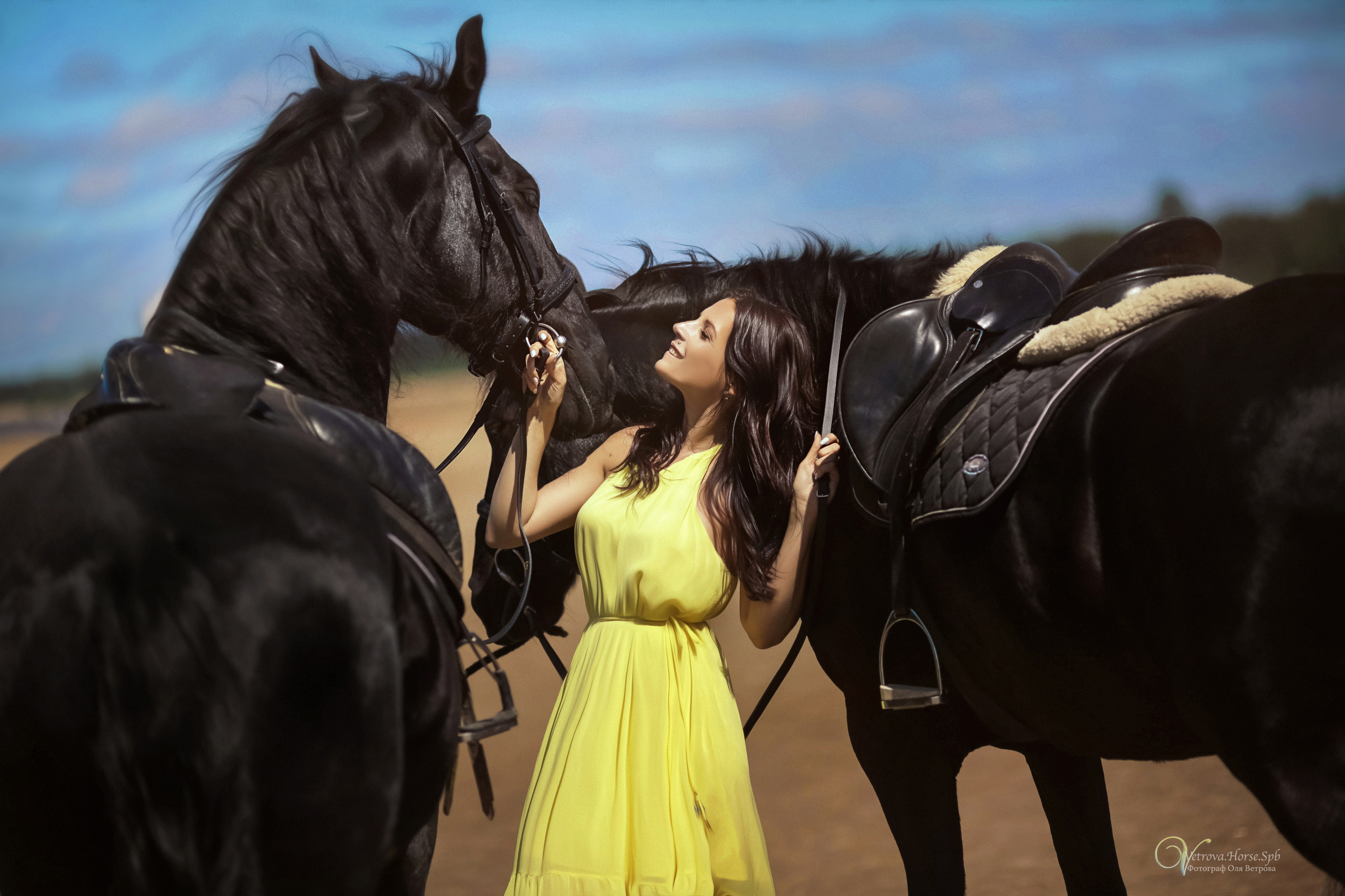 Фотосессия  с двумя конями в Санкт-Петербурге. Фотограф женский и мужской портрет Санкт-Петербург