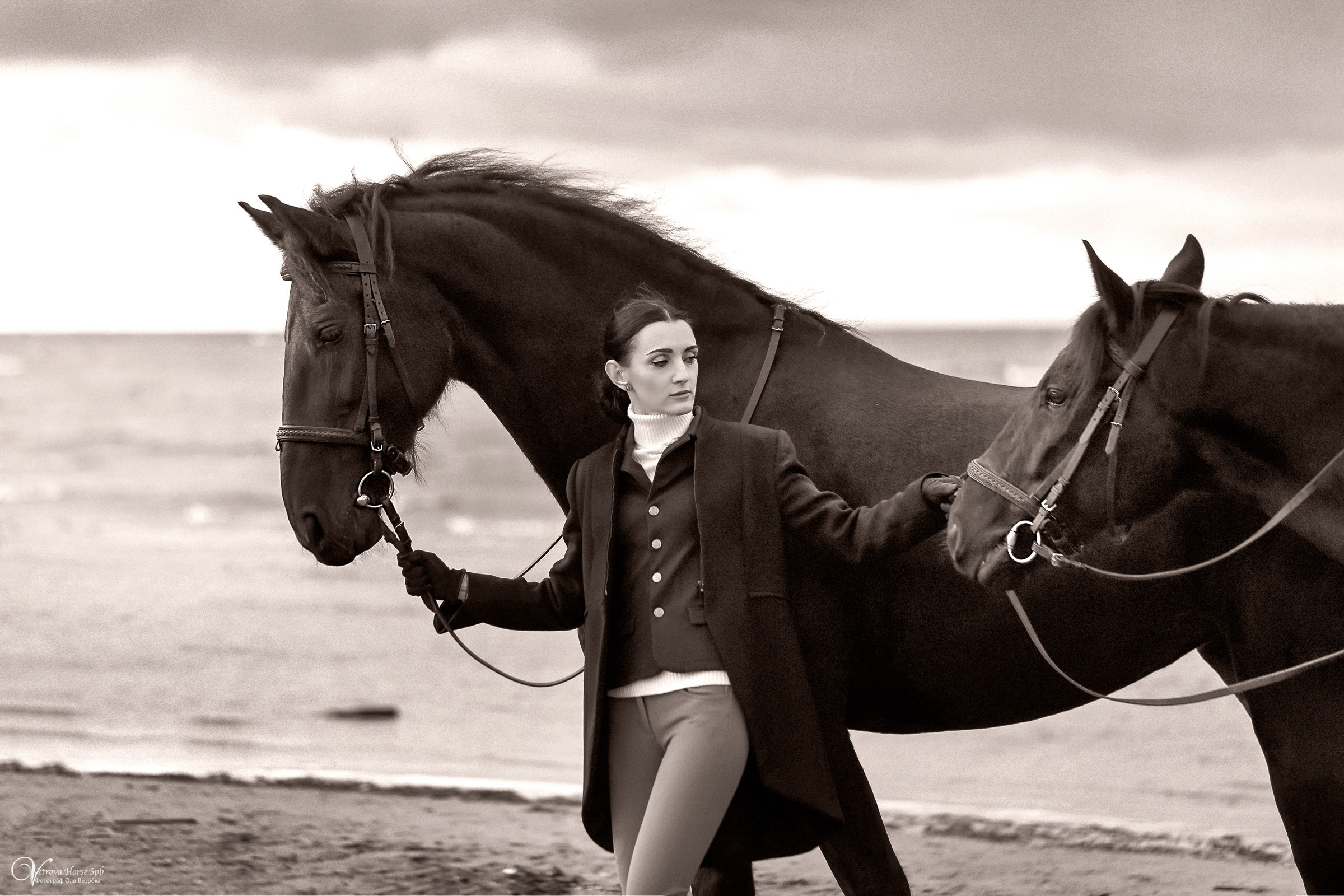 Два коня на заливе. Фотограф женский и мужской портрет Санкт-Петербург