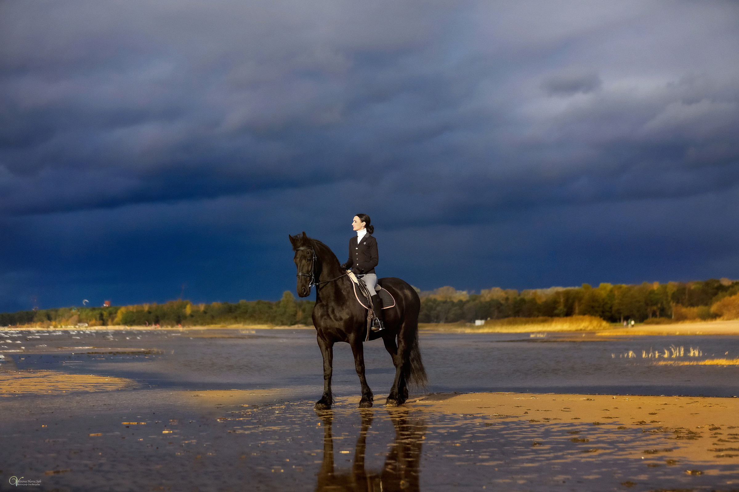 Осенняя съемка с лошадью В СПБ. Фотограф женский и мужской портрет Санкт-Петербург