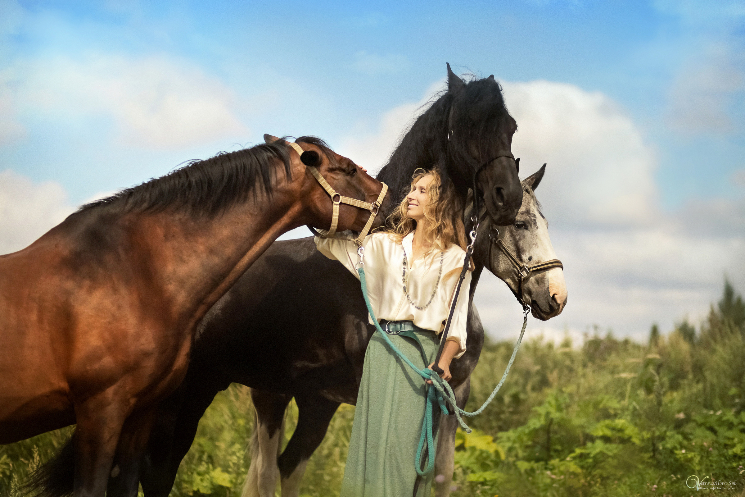 Съемка с тремя лошадьми в поле. Фотограф женский и мужской портрет Санкт-Петербург