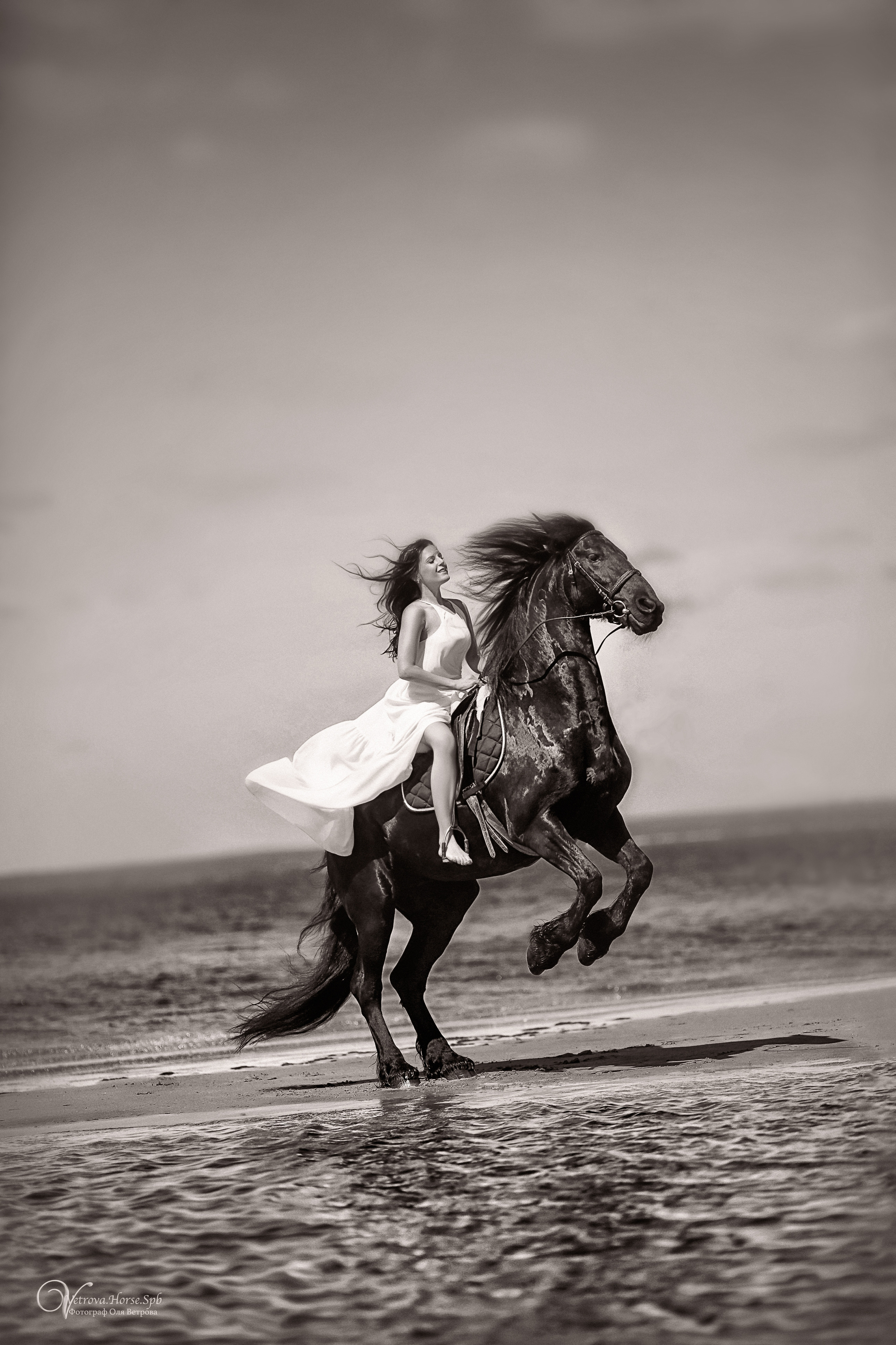 Фотосессия  с двумя конями в Санкт-Петербурге. Фотограф женский и мужской портрет Санкт-Петербург