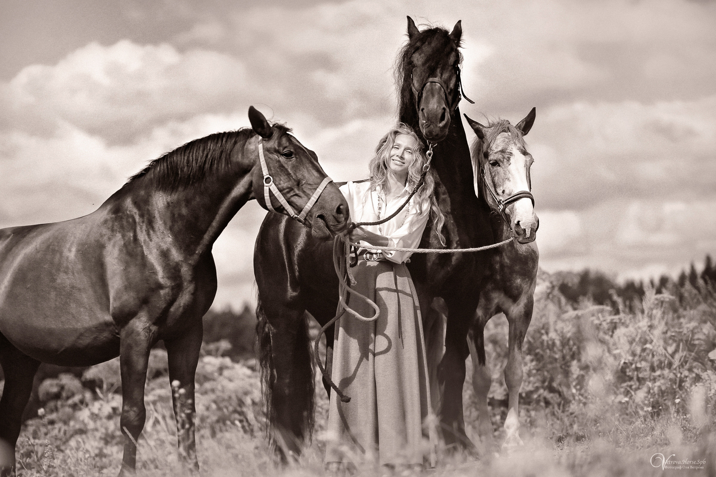 Съемка с тремя лошадьми в поле. Фотограф женский и мужской портрет Санкт-Петербург