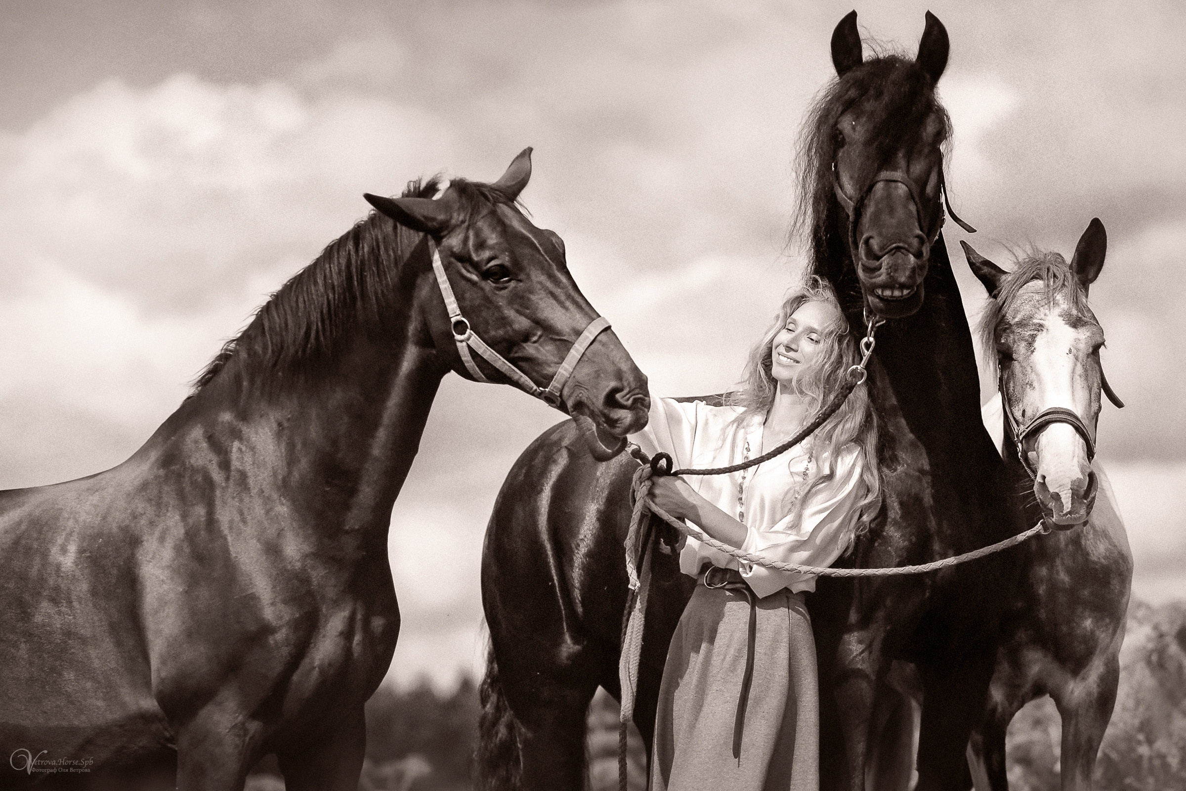 Съемка с тремя лошадьми в поле. Фотограф женский и мужской портрет Санкт-Петербург