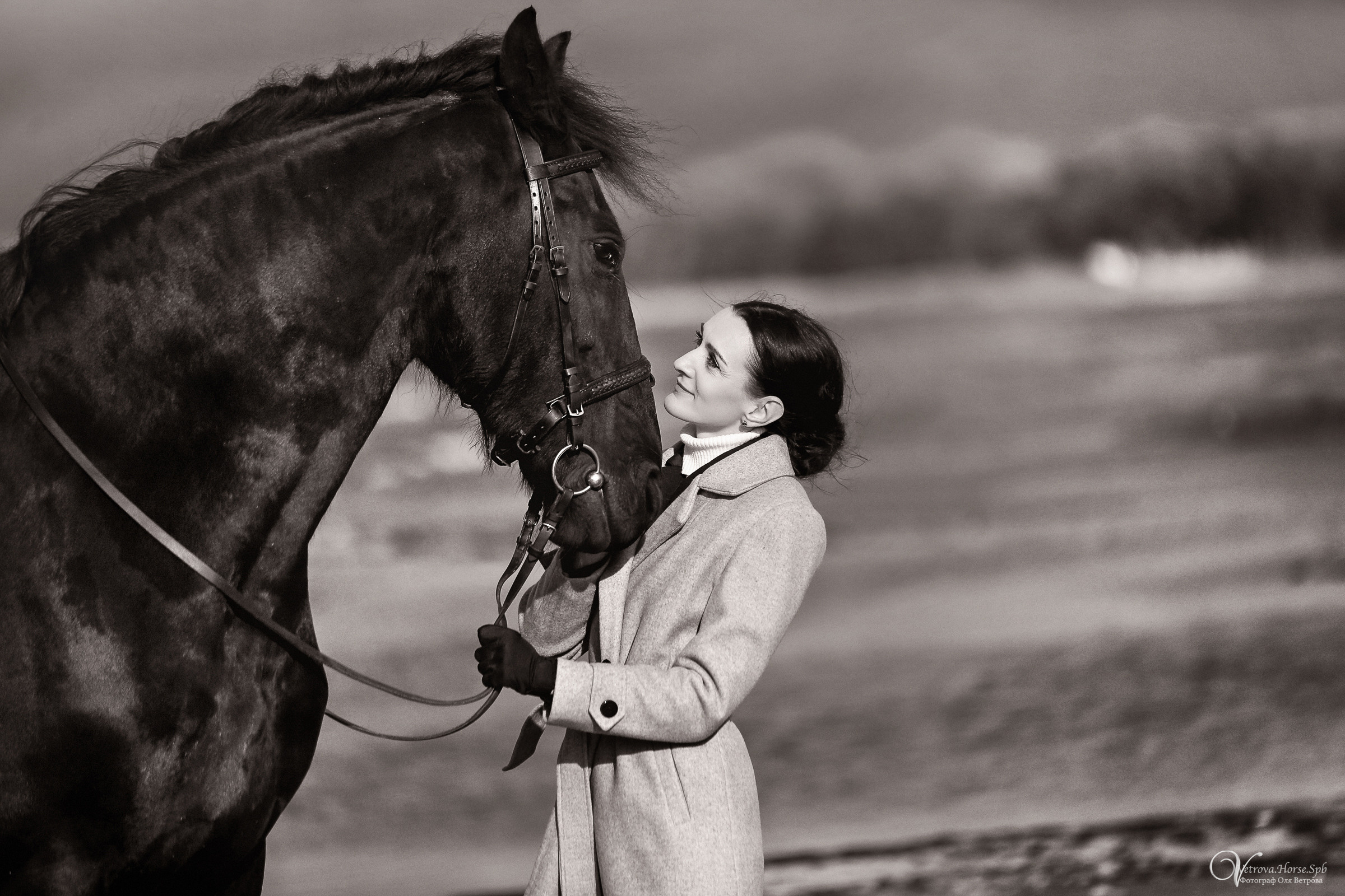 Залив  и лошади. Фотограф женский и мужской портрет Санкт-Петербург