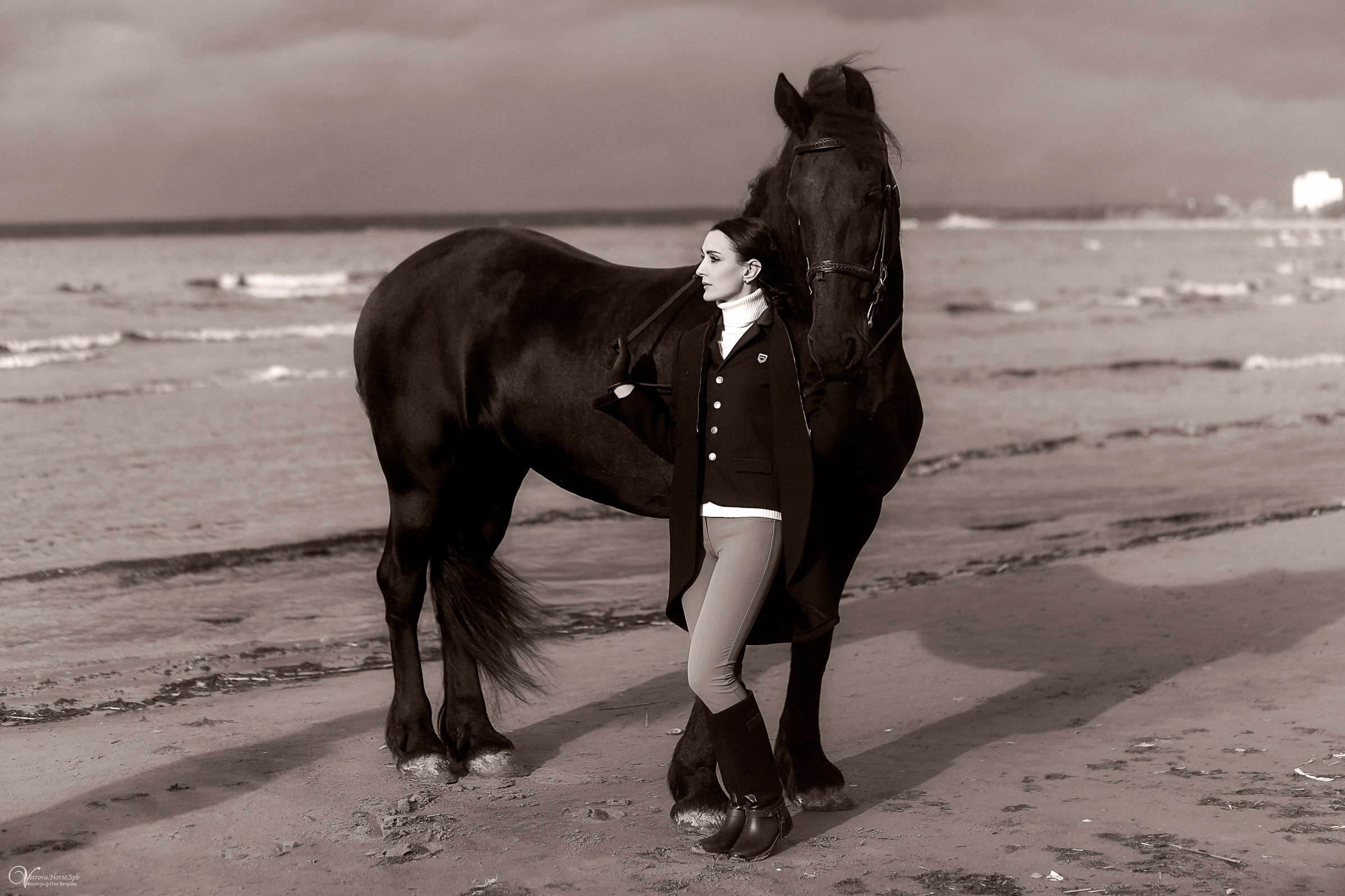 Осенняя съемка с лошадью В СПБ. Фотограф женский и мужской портрет Санкт-Петербург