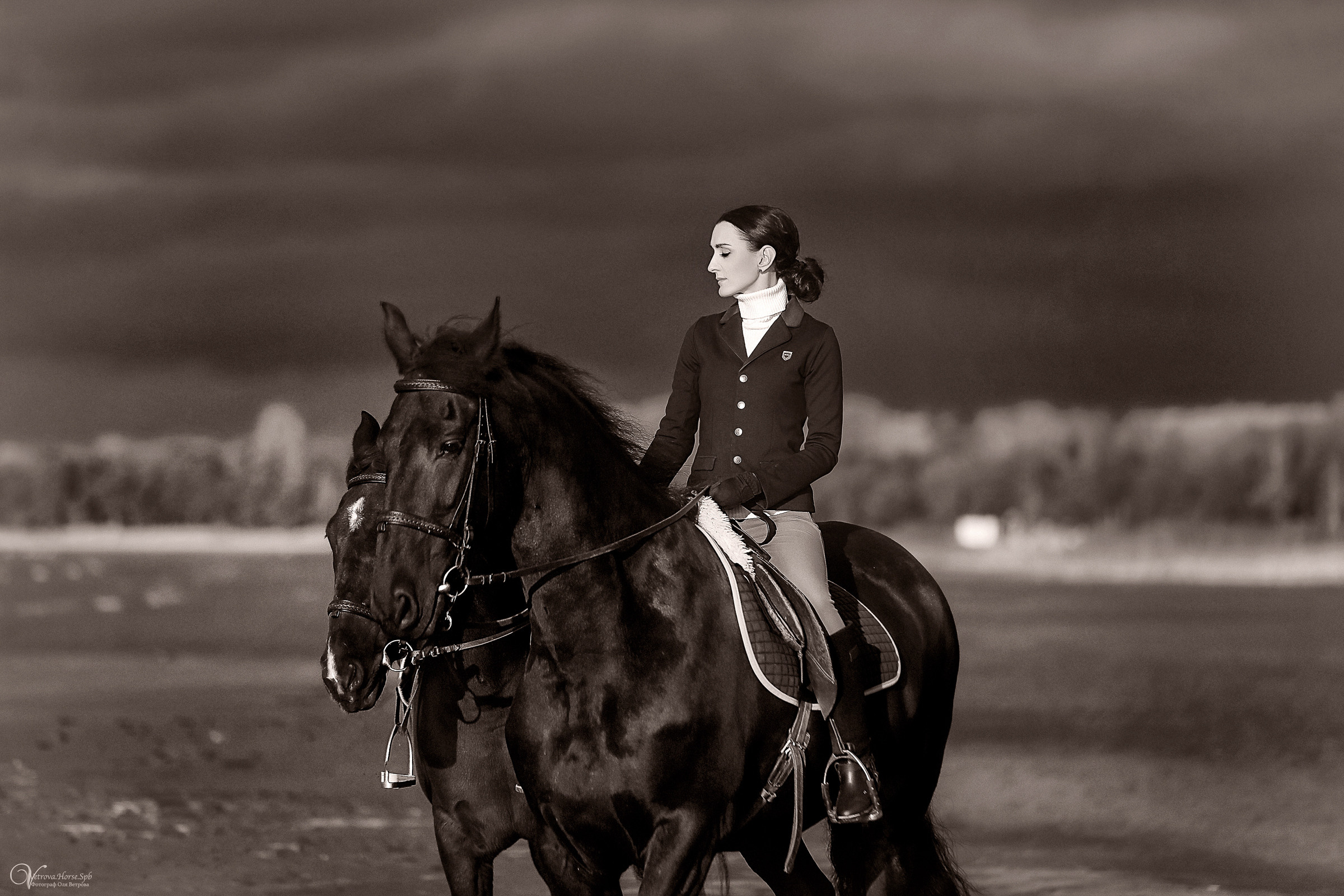 Два коня на заливе. Фотограф женский и мужской портрет Санкт-Петербург
