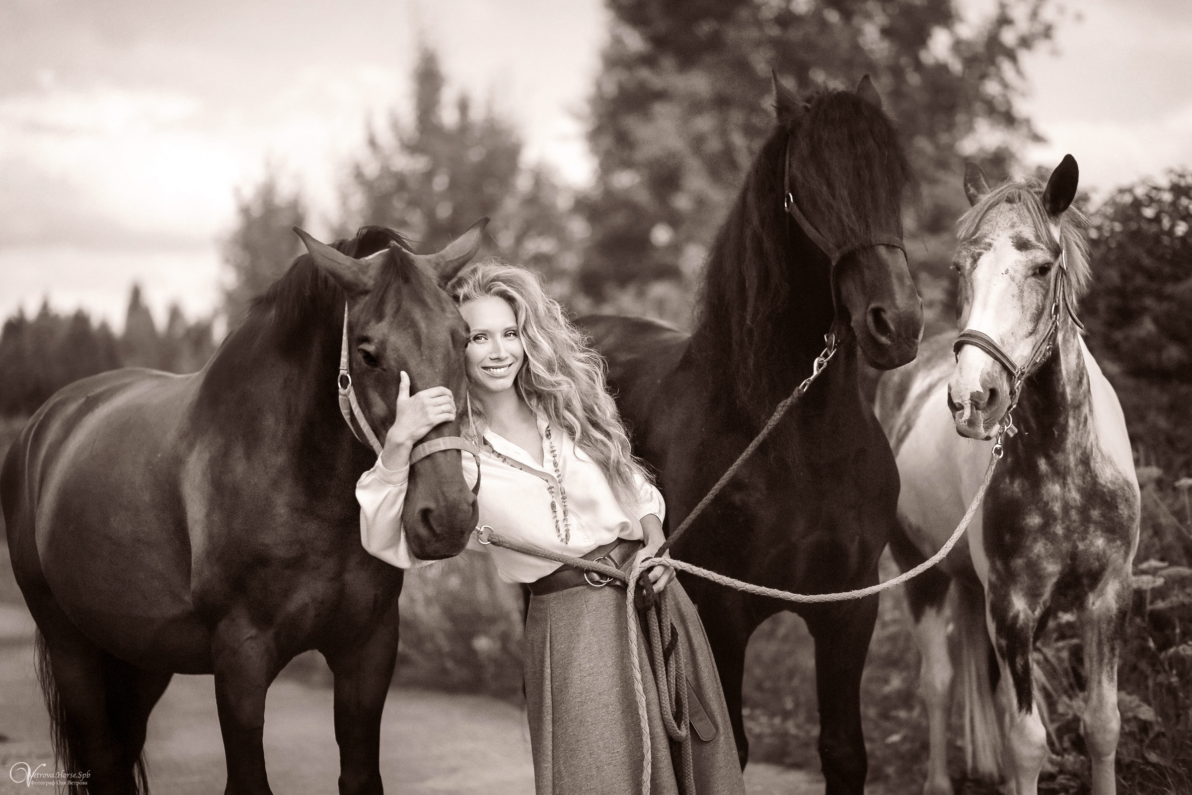 Съемка с тремя лошадьми в поле. Фотограф женский и мужской портрет Санкт-Петербург
