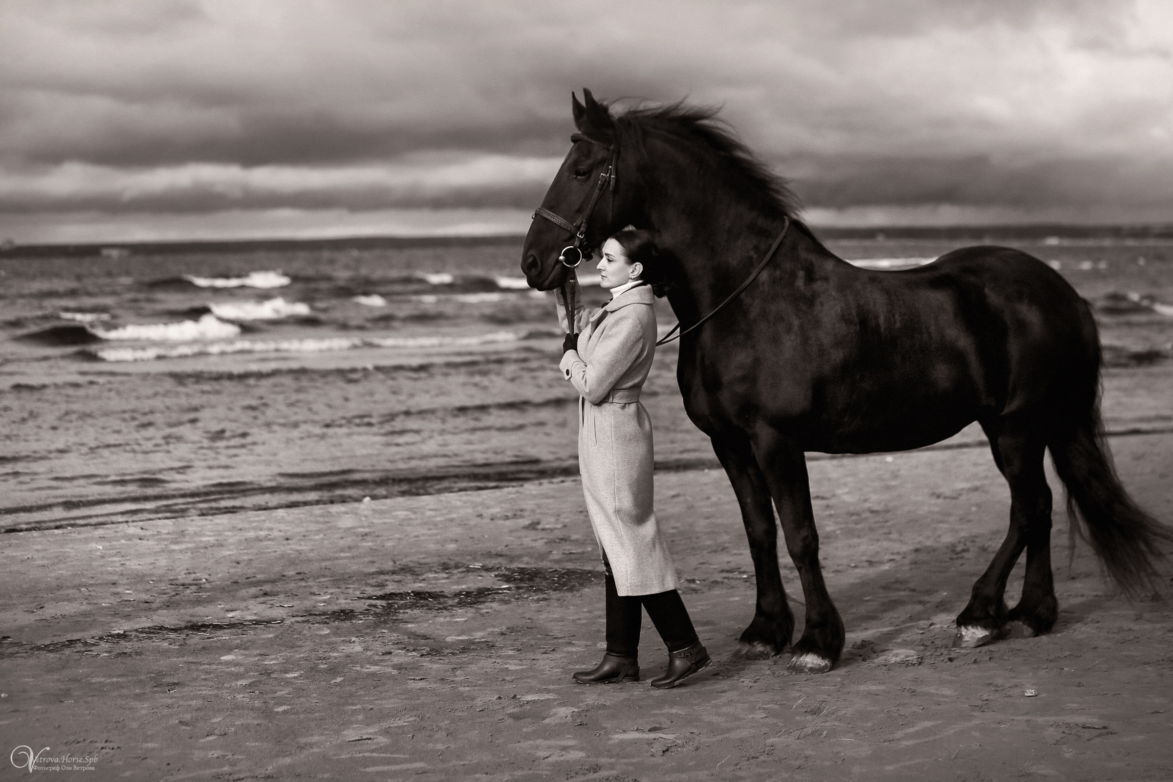 Залив  и лошади. Фотограф женский и мужской портрет Санкт-Петербург