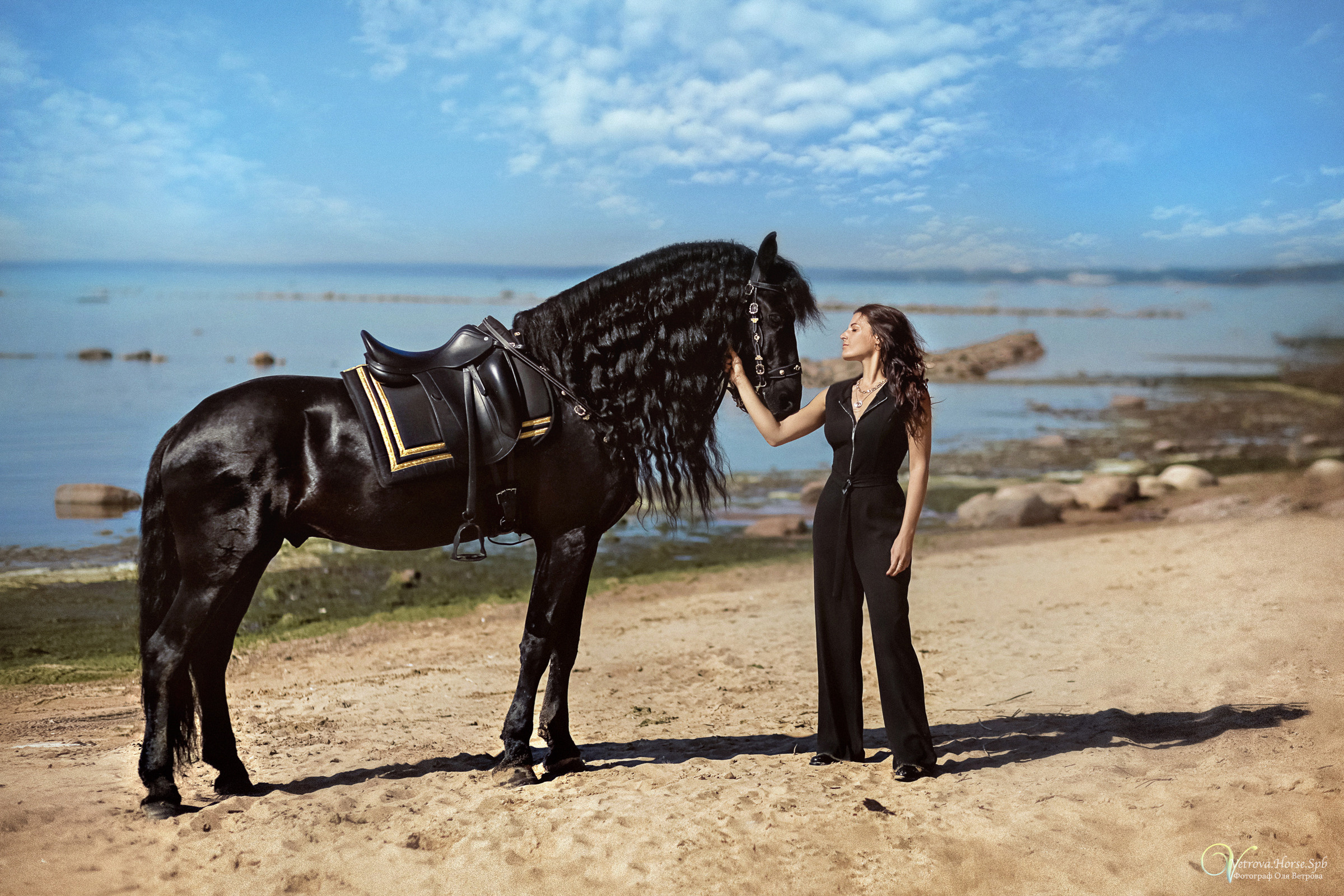 Фотосессия с фризом в СПБ. Фотограф женский и мужской портрет Санкт-Петербург