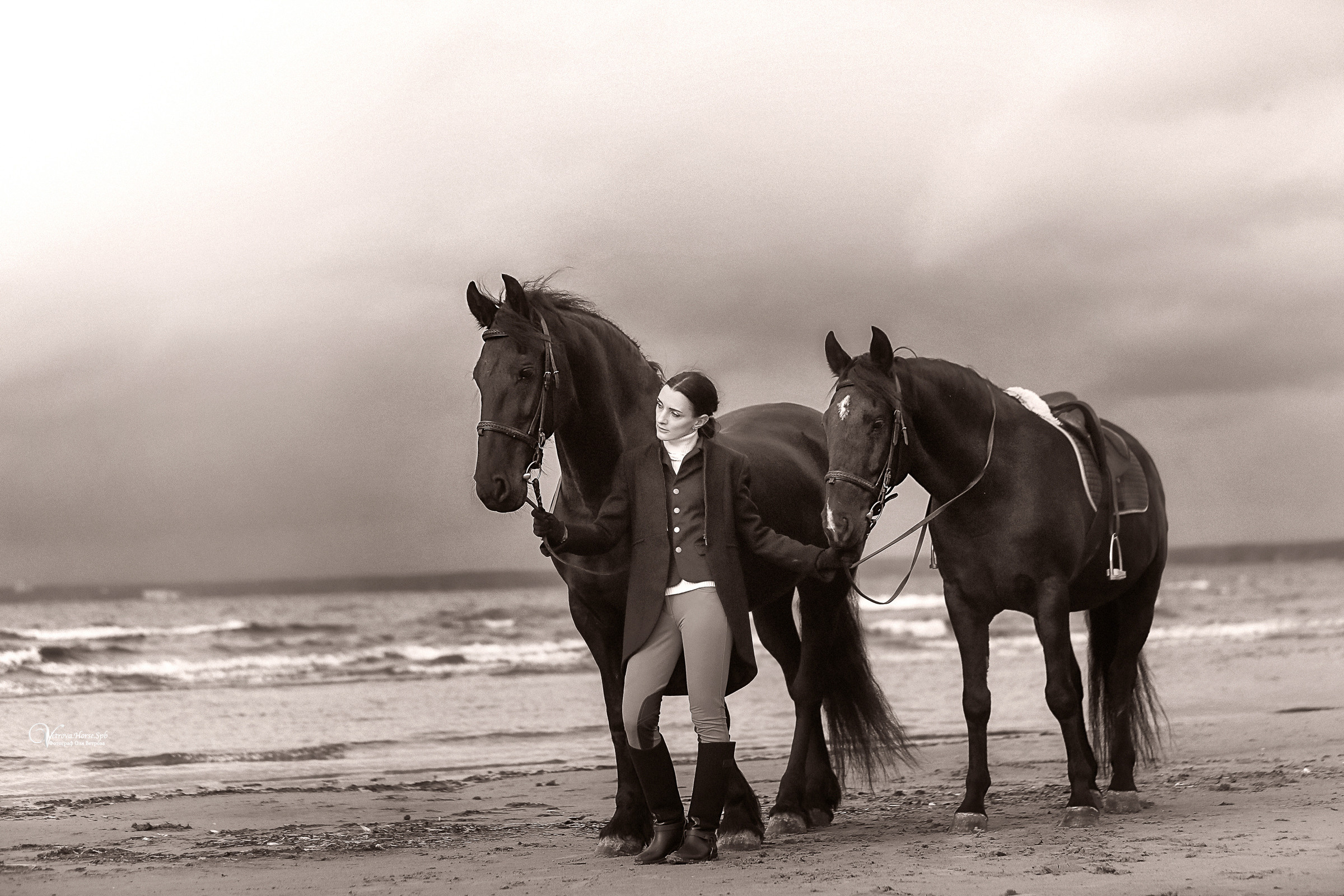 Два коня на заливе. Фотограф женский и мужской портрет Санкт-Петербург