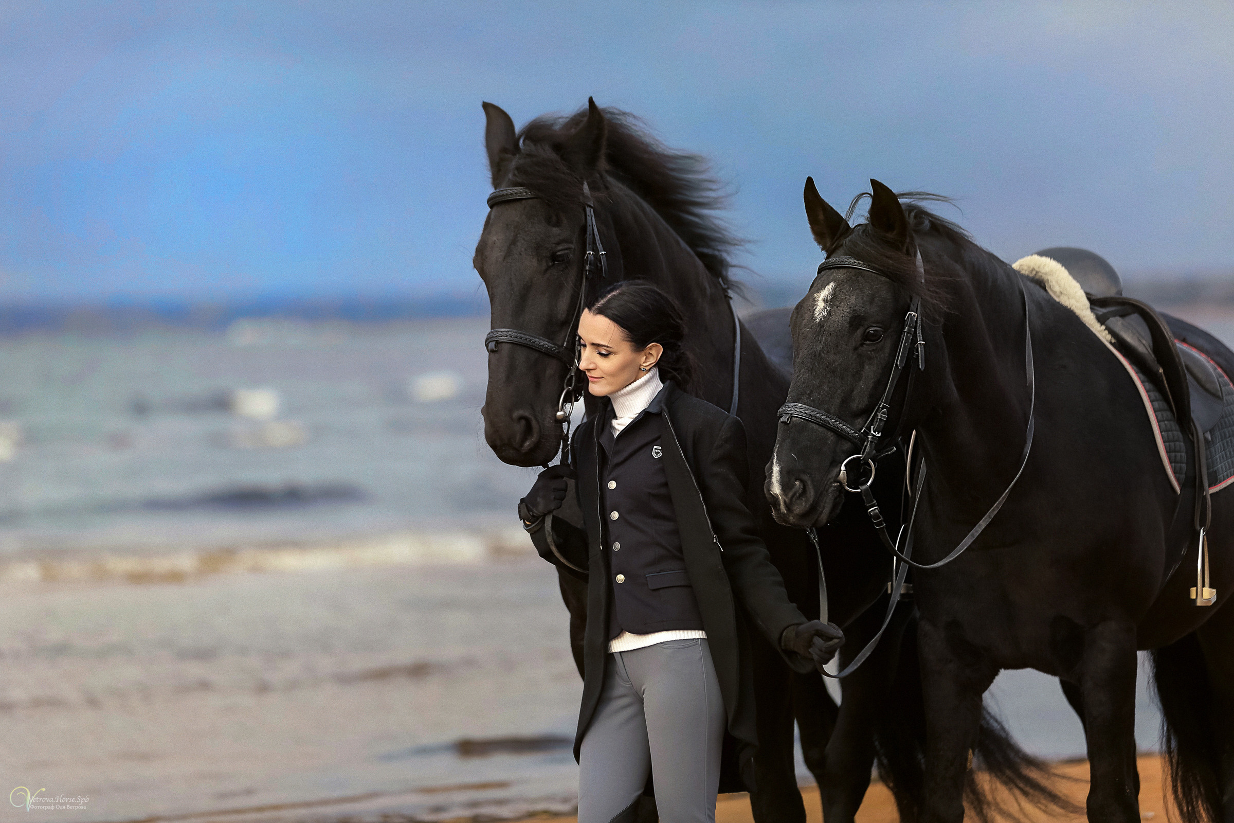 Два коня на заливе. Фотограф женский и мужской портрет Санкт-Петербург