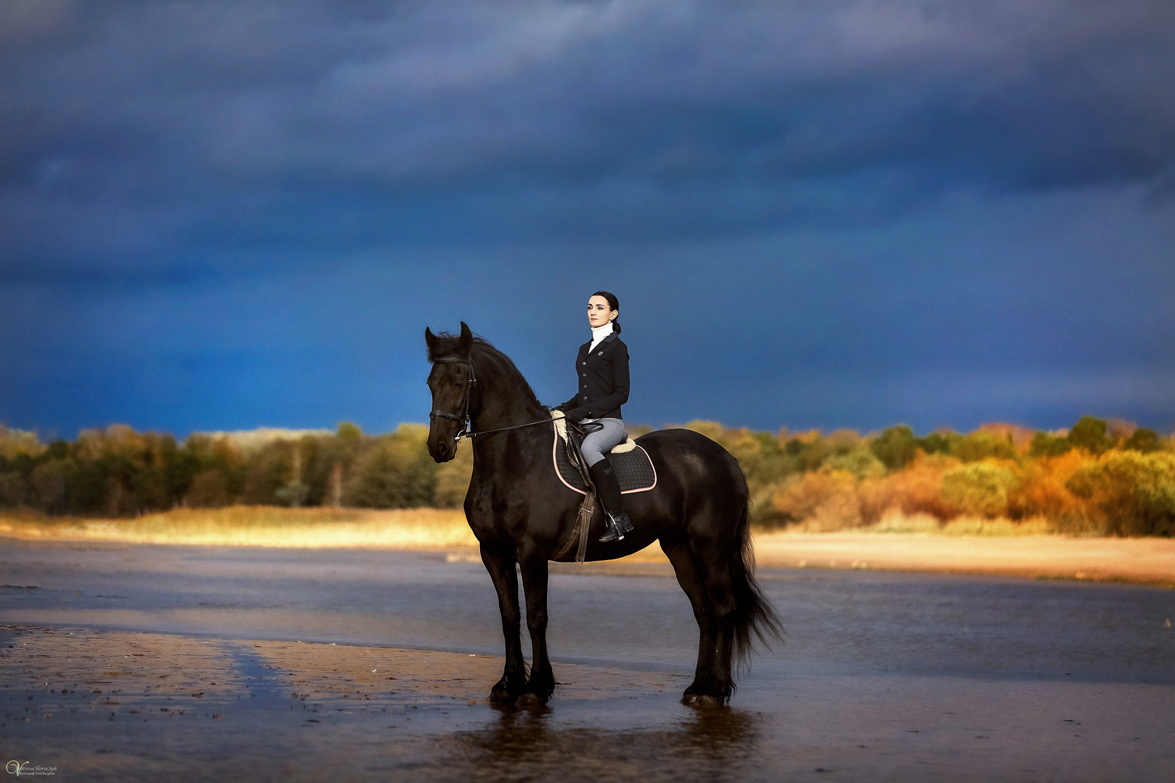 Осенняя съемка с лошадью В СПБ. Фотограф женский и мужской портрет Санкт-Петербург