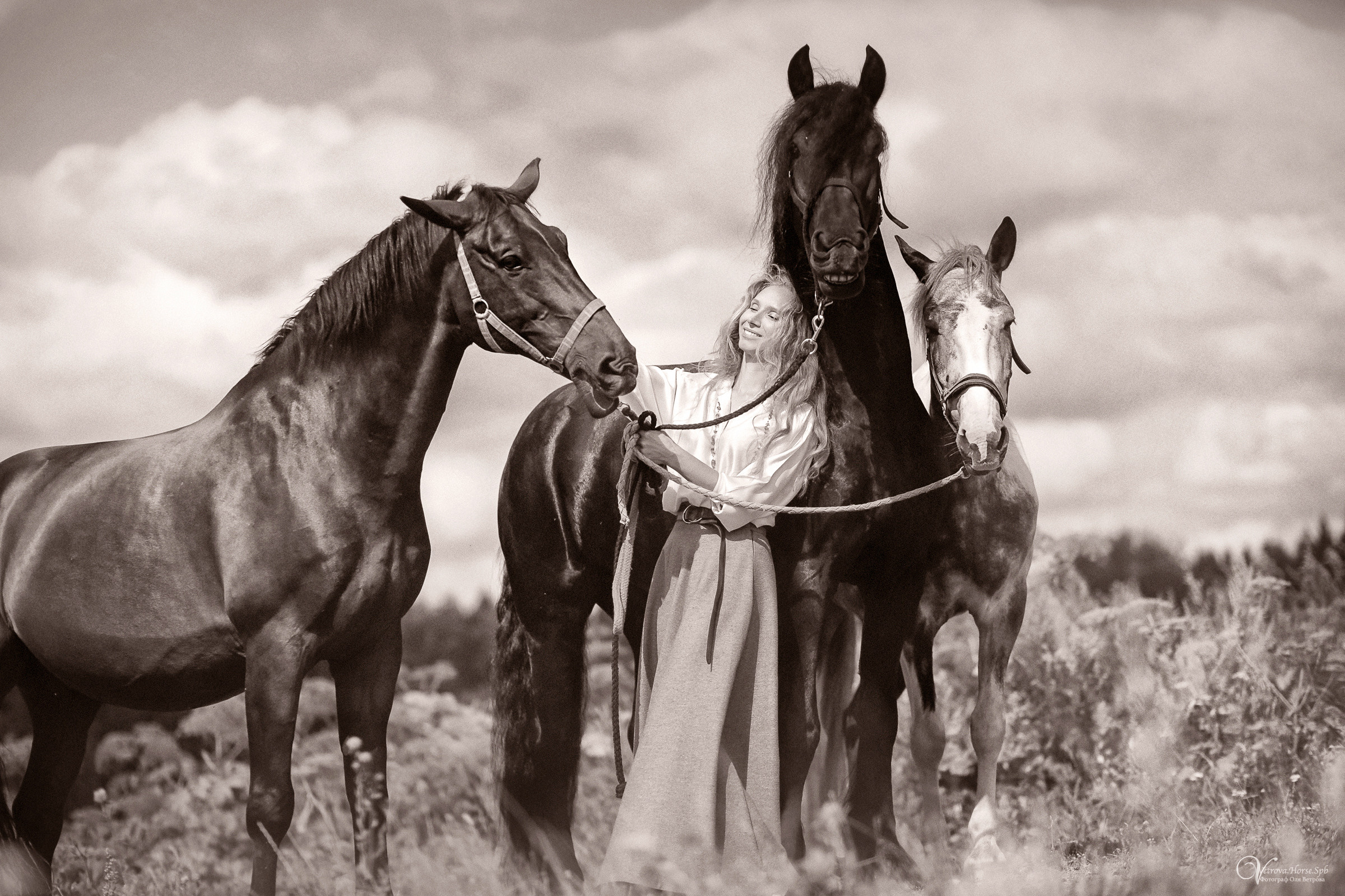 Съемка с тремя лошадьми в поле. Фотограф женский и мужской портрет Санкт-Петербург
