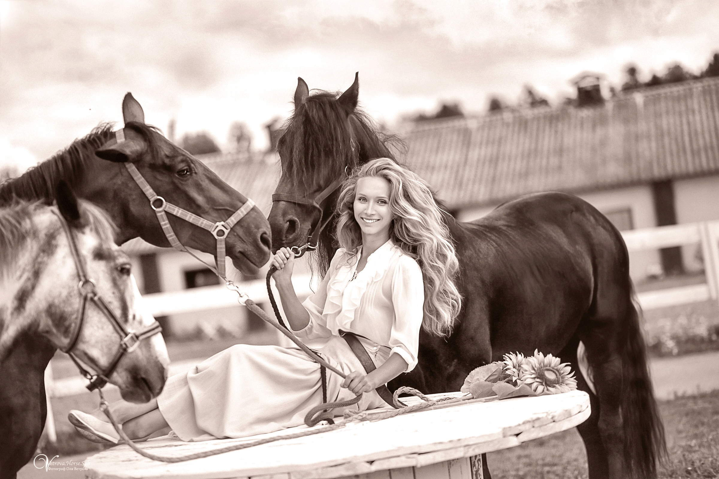 Фотосессия девушка и табун лошадей. Фотограф женский и мужской портрет Санкт-Петербург