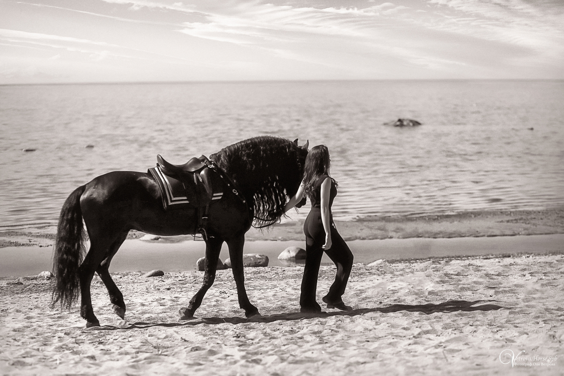 Фотосессия с фризом в СПБ. Фотограф женский и мужской портрет Санкт-Петербург