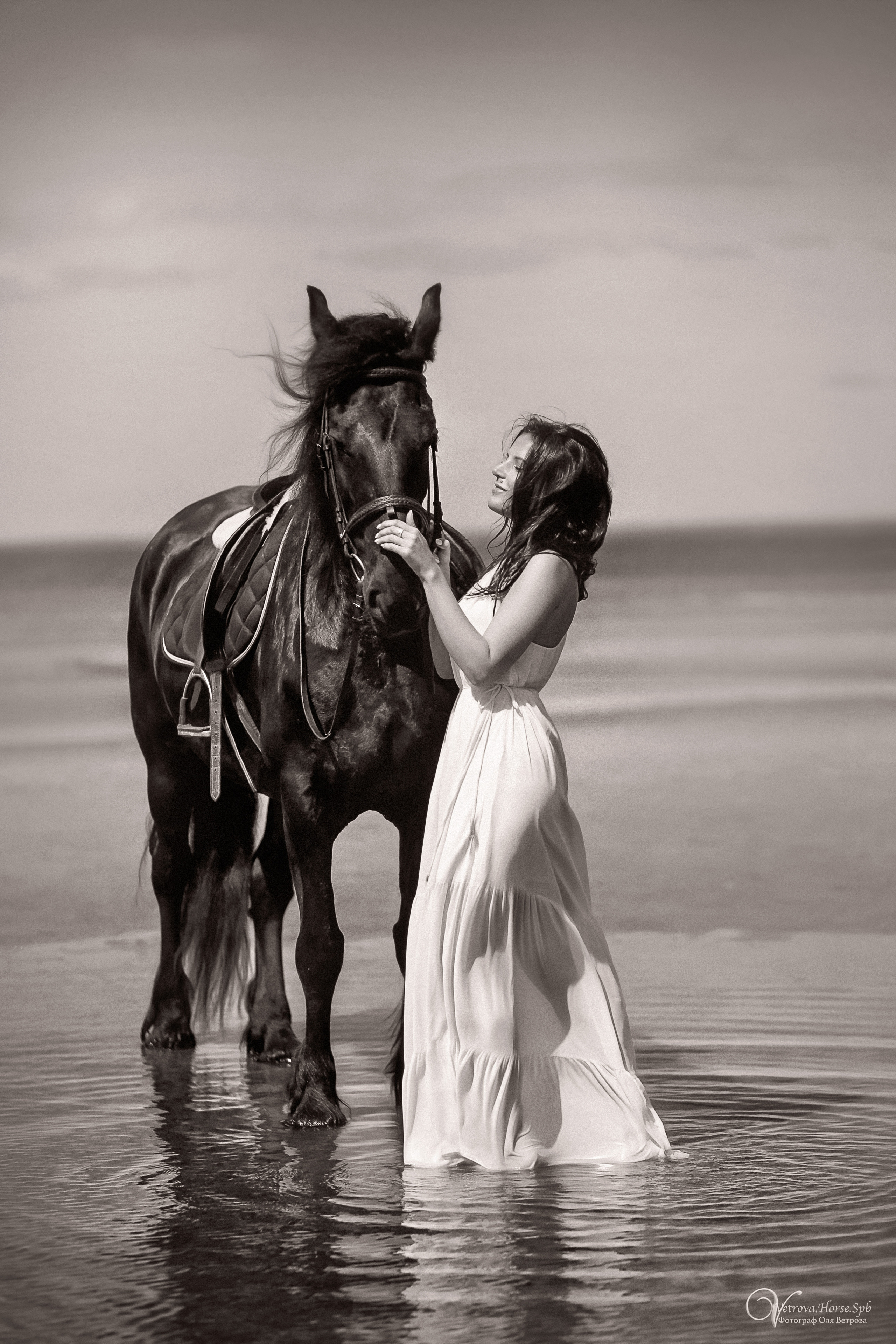 Фотосессия  с двумя конями в Санкт-Петербурге. Фотограф женский и мужской портрет Санкт-Петербург