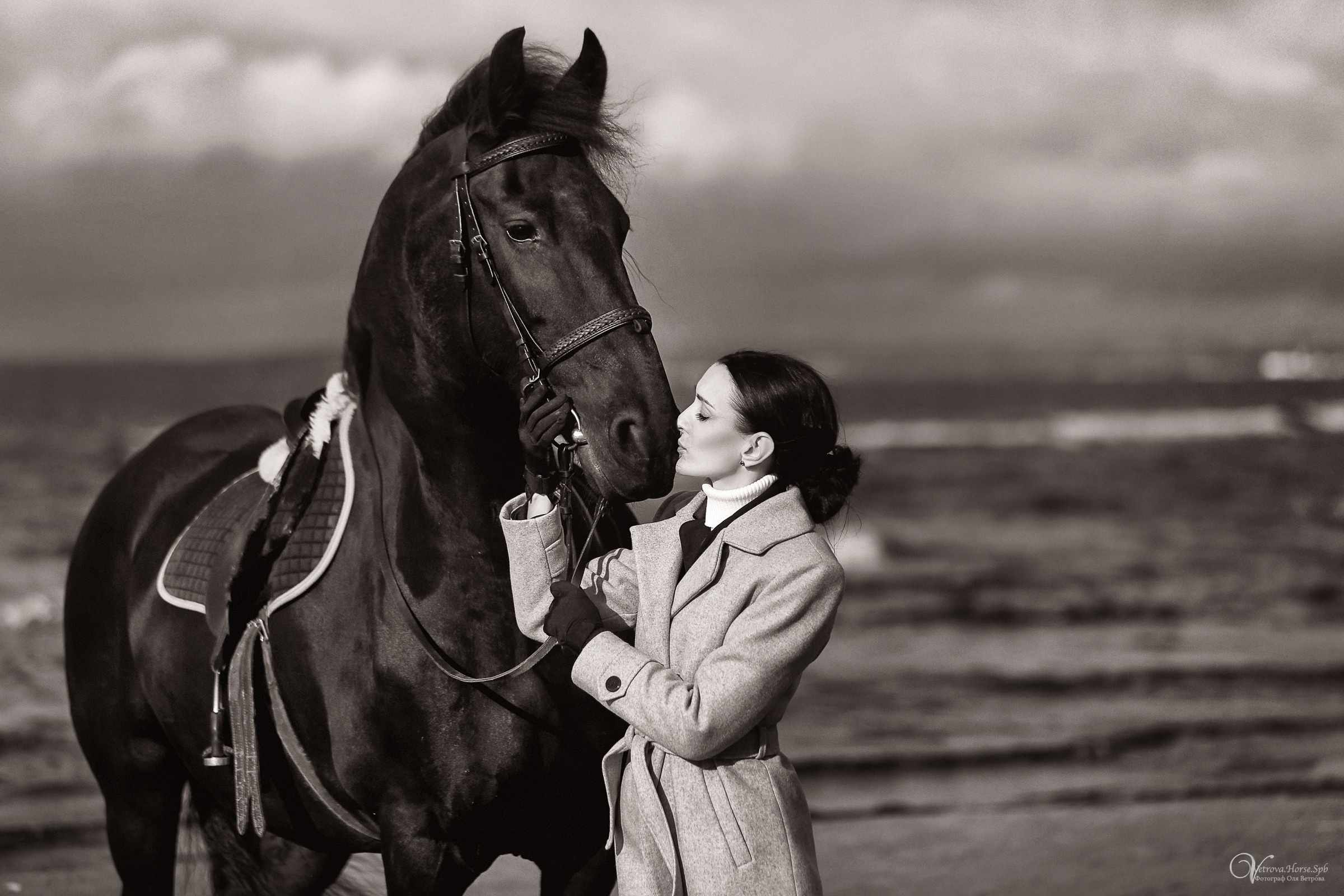 Залив  и лошади. Фотограф женский и мужской портрет Санкт-Петербург