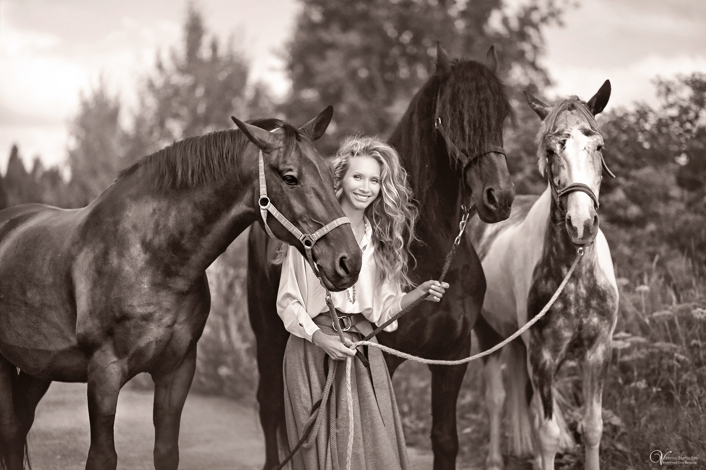 Съемка с тремя лошадьми в поле. Фотограф женский и мужской портрет Санкт-Петербург
