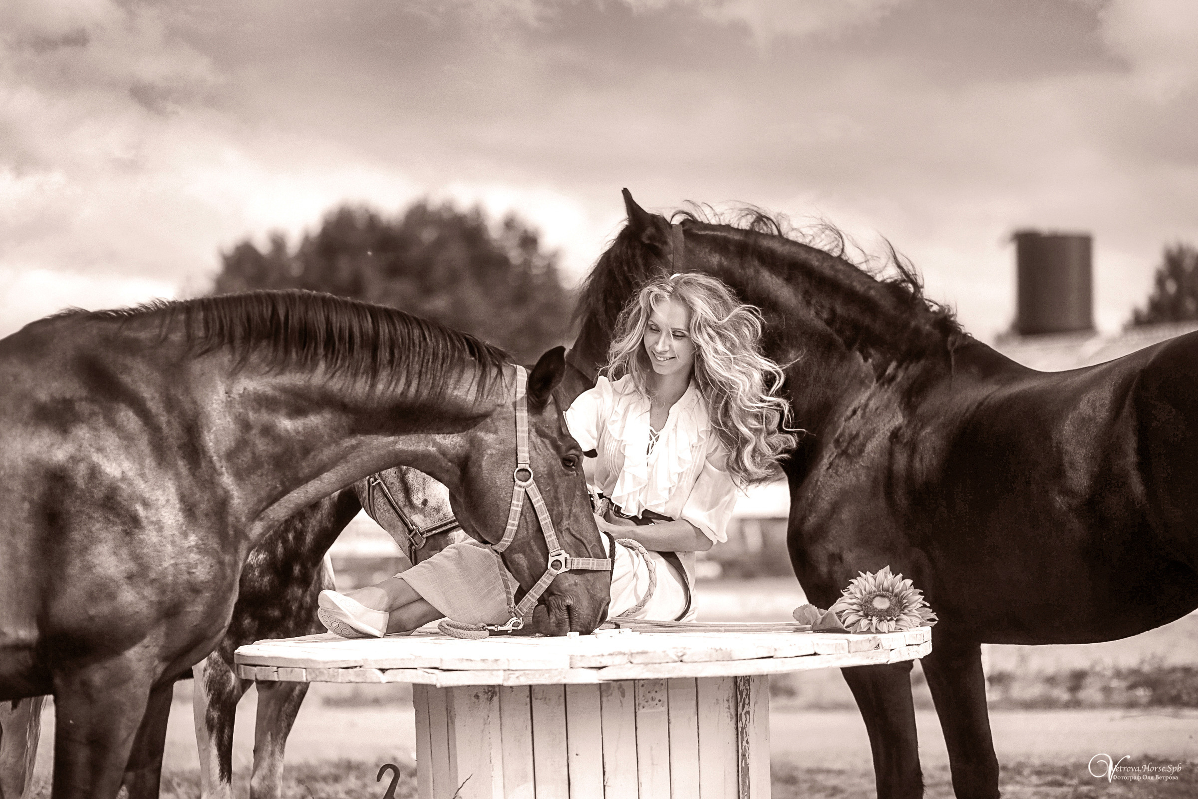 Фотосессия девушка и табун лошадей. Фотограф женский и мужской портрет Санкт-Петербург