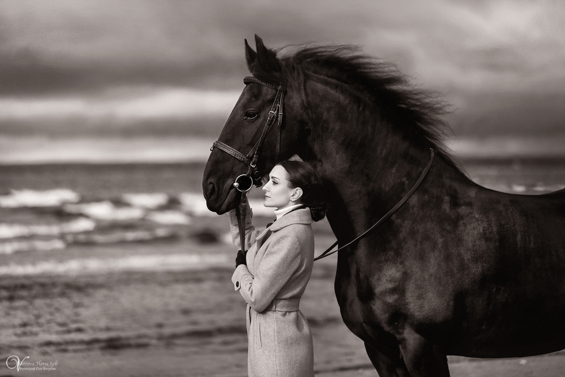 Залив  и лошади. Фотограф женский и мужской портрет Санкт-Петербург