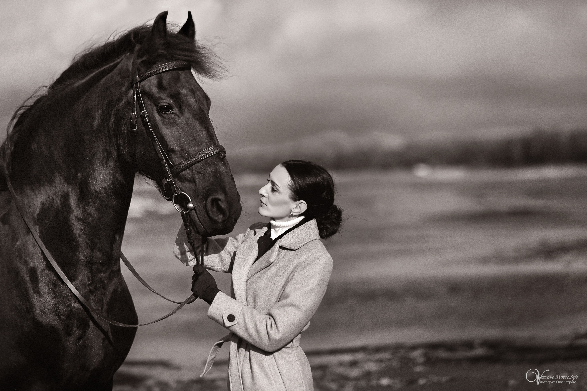 Залив  и лошади. Фотограф женский и мужской портрет Санкт-Петербург