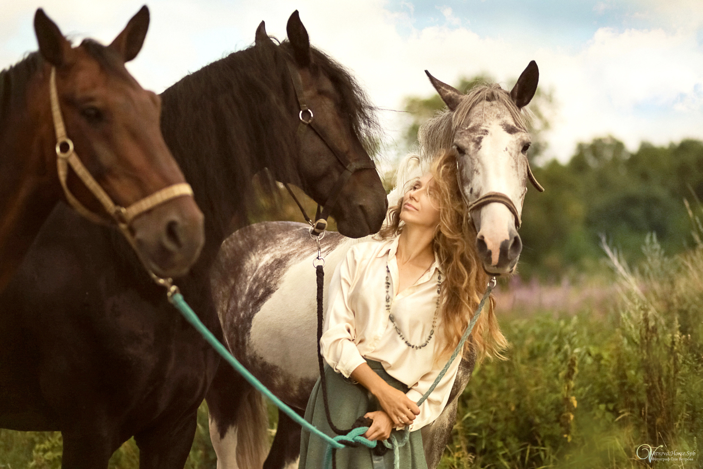 Съемка с тремя лошадьми в поле. Фотограф женский и мужской портрет Санкт-Петербург
