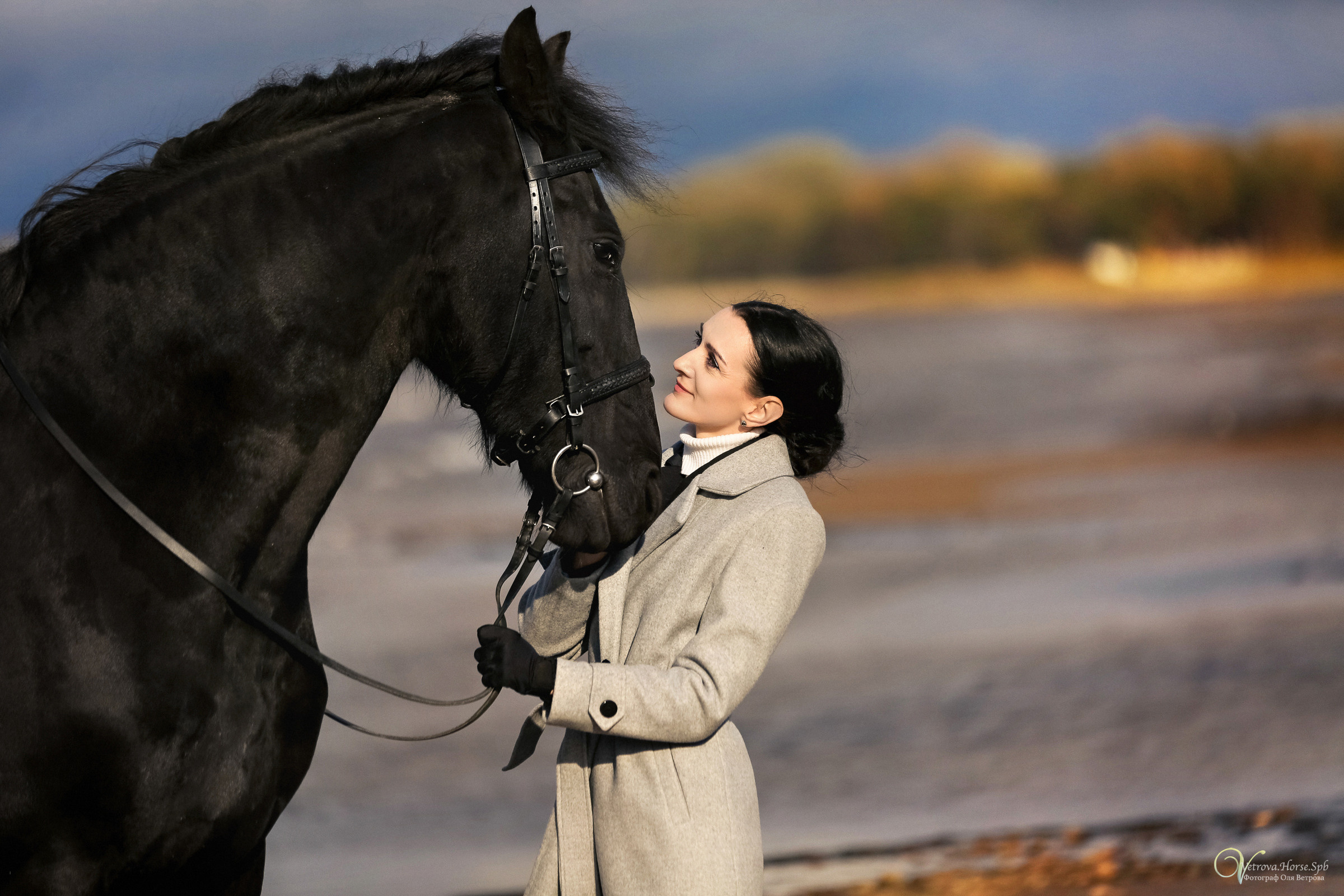 Залив  и лошади. Фотограф женский и мужской портрет Санкт-Петербург