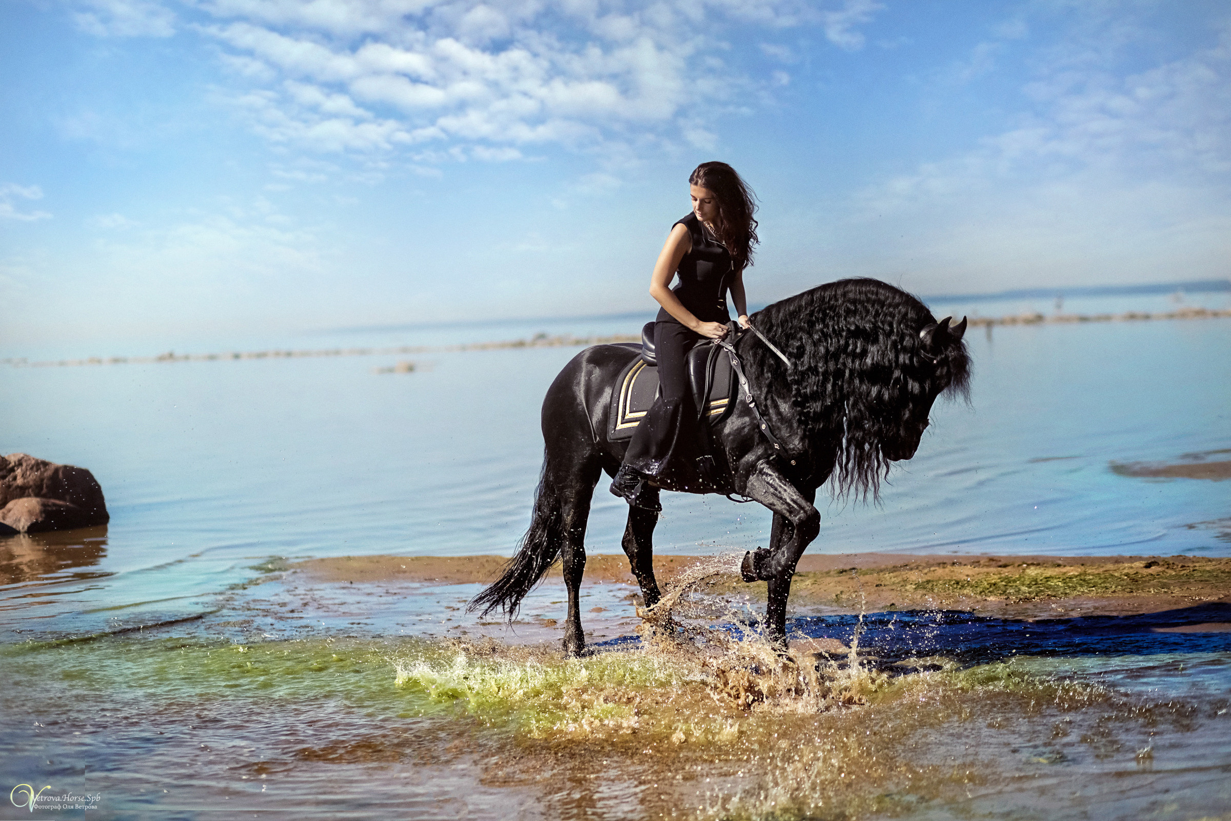 Фотосессия с фризом в СПБ. Фотограф женский и мужской портрет Санкт-Петербург