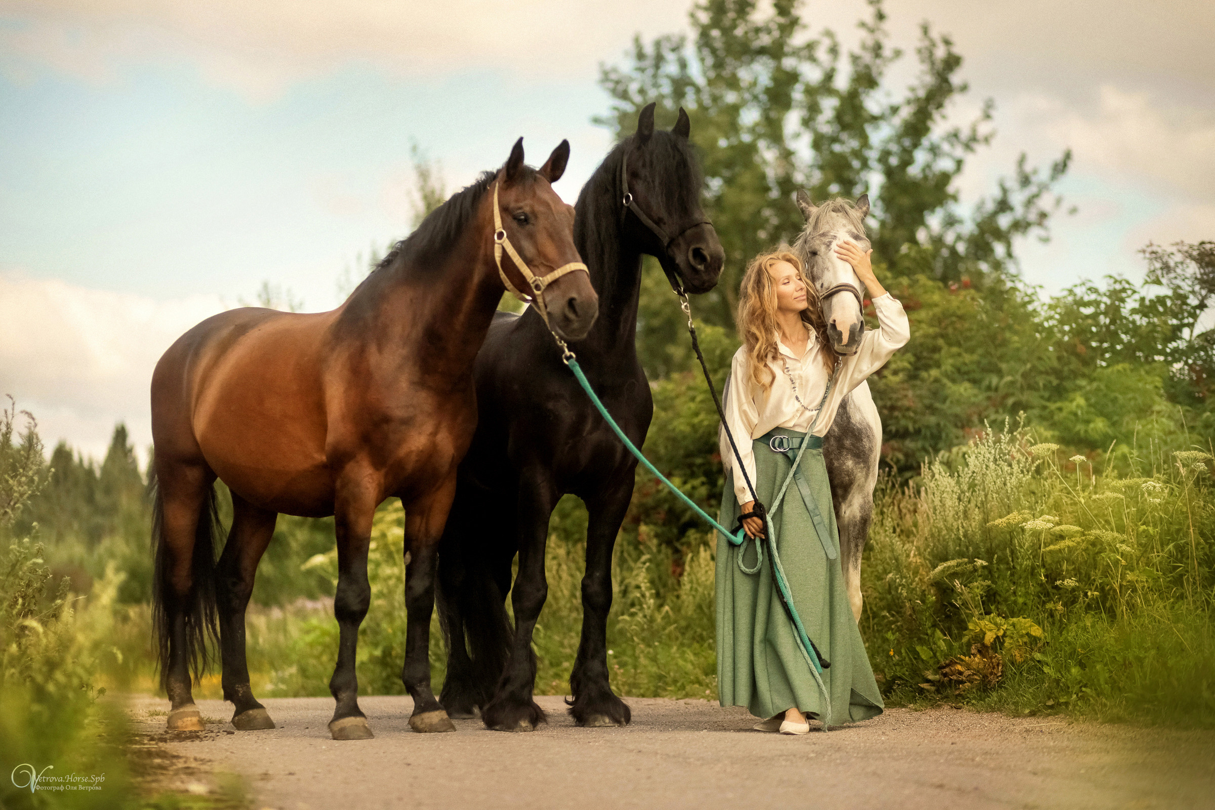 Съемка с тремя лошадьми в поле. Фотограф женский и мужской портрет Санкт-Петербург