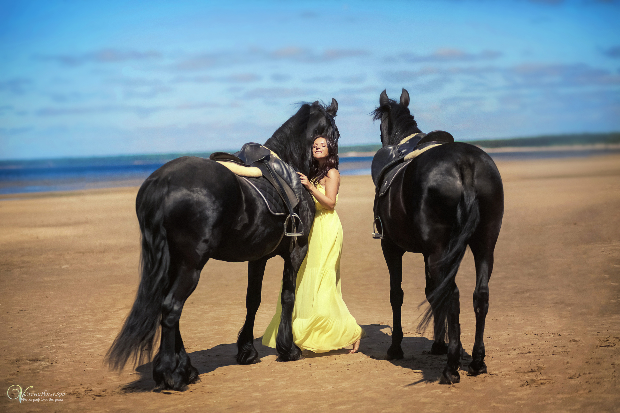 Фотосессия  с двумя конями в Санкт-Петербурге. Фотограф женский и мужской портрет Санкт-Петербург