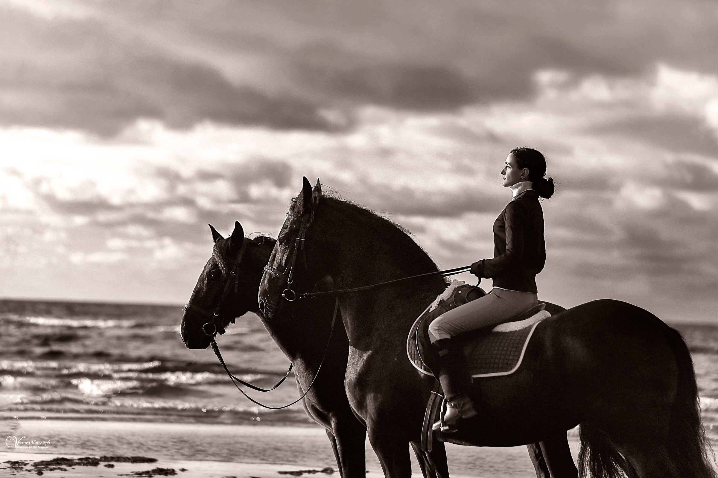 Два коня на заливе. Фотограф женский и мужской портрет Санкт-Петербург