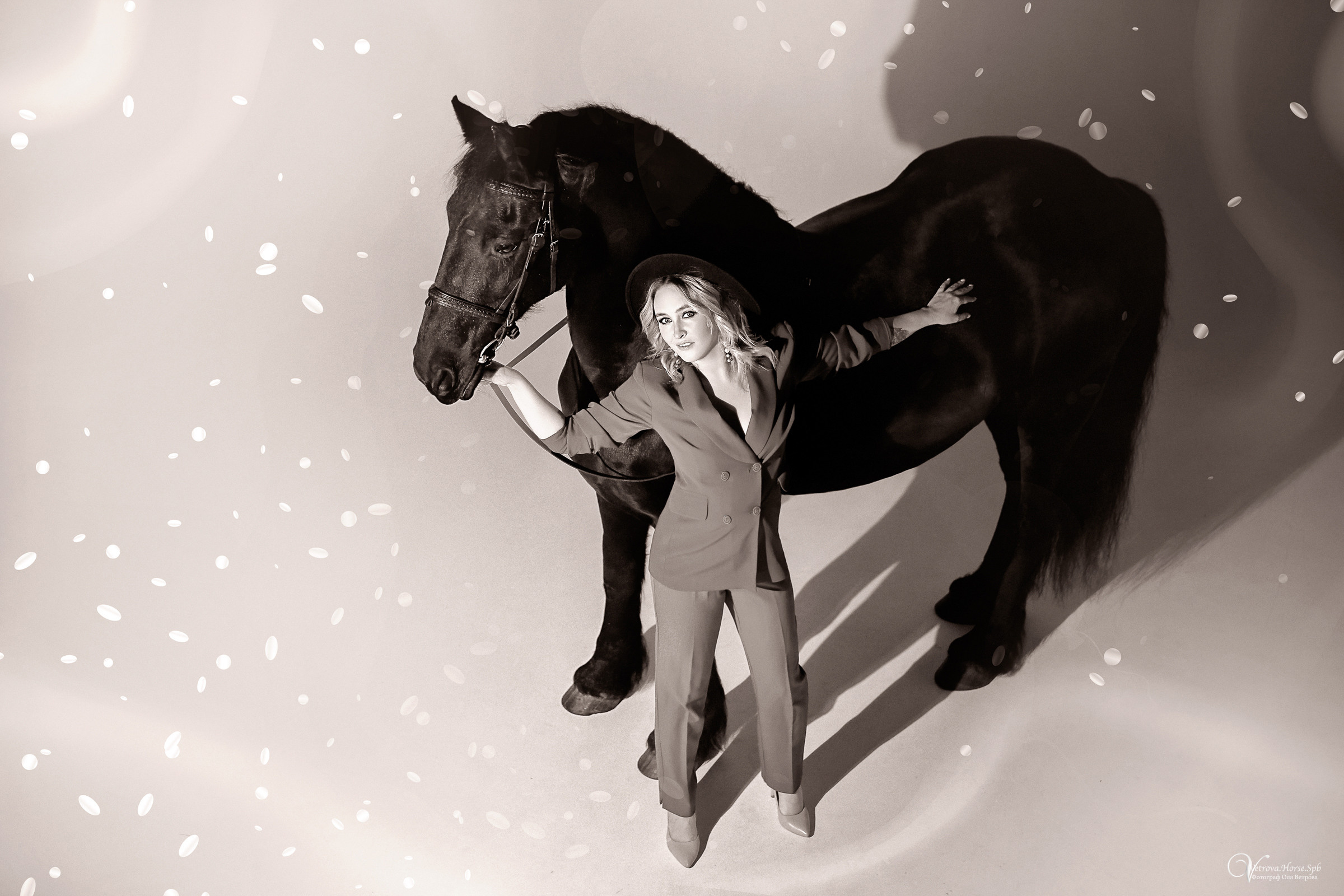 Фотосессия в студии с лошадью в СПб. Фотограф женский и мужской портрет Санкт-Петербург