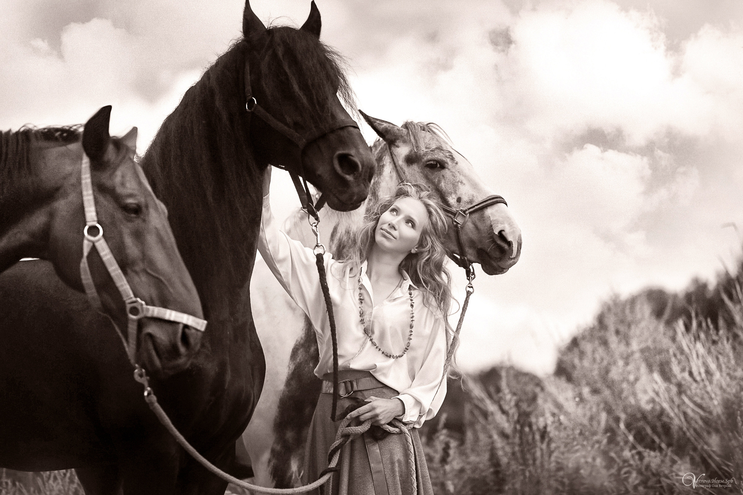 Съемка с тремя лошадьми в поле. Фотограф женский и мужской портрет Санкт-Петербург