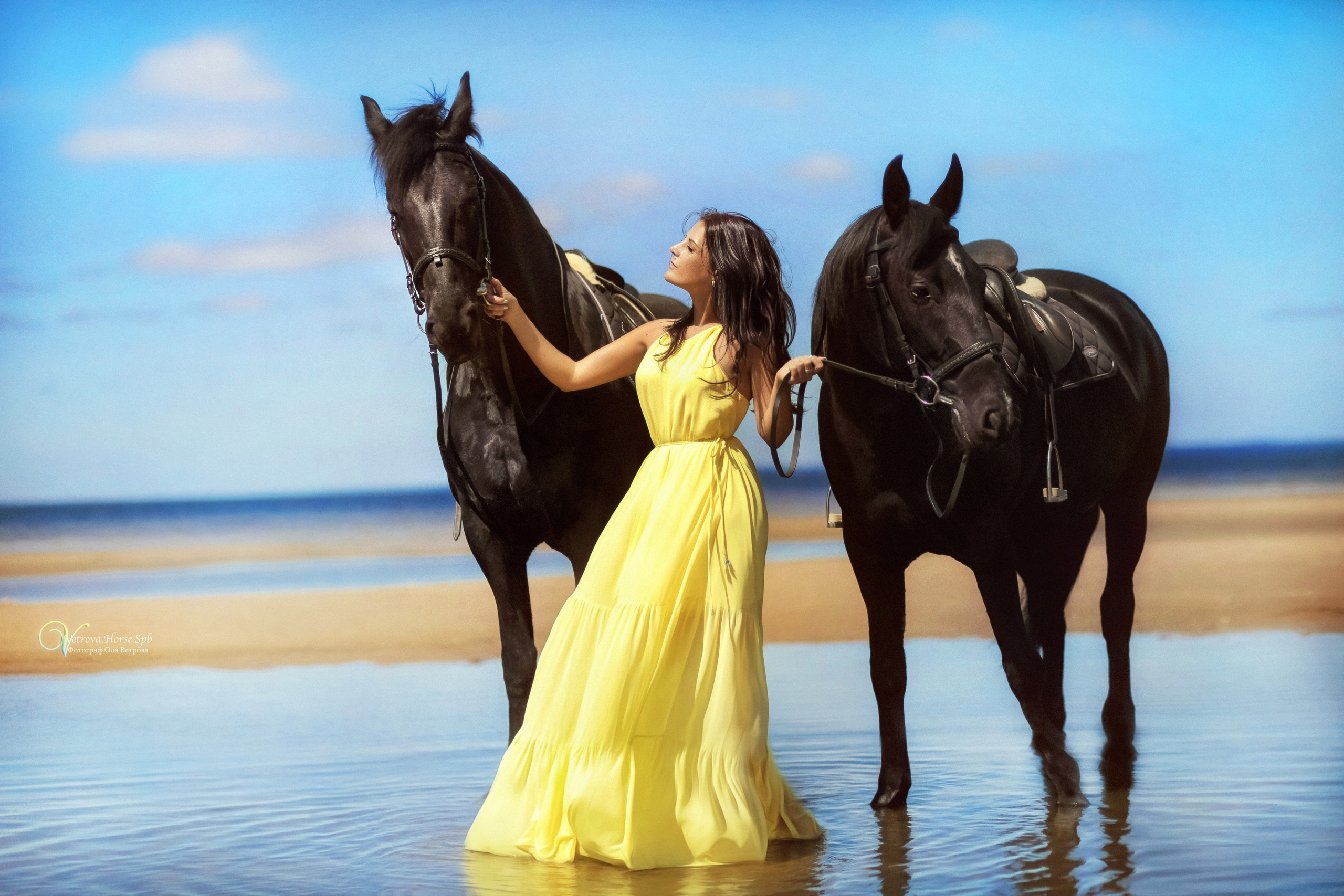 Фотосессия  с двумя конями в Санкт-Петербурге. Фотограф женский и мужской портрет Санкт-Петербург