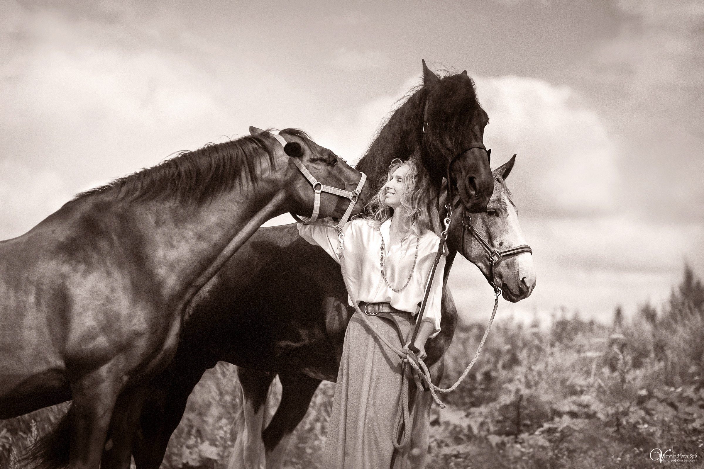 Съемка с тремя лошадьми в поле. Фотограф женский и мужской портрет Санкт-Петербург