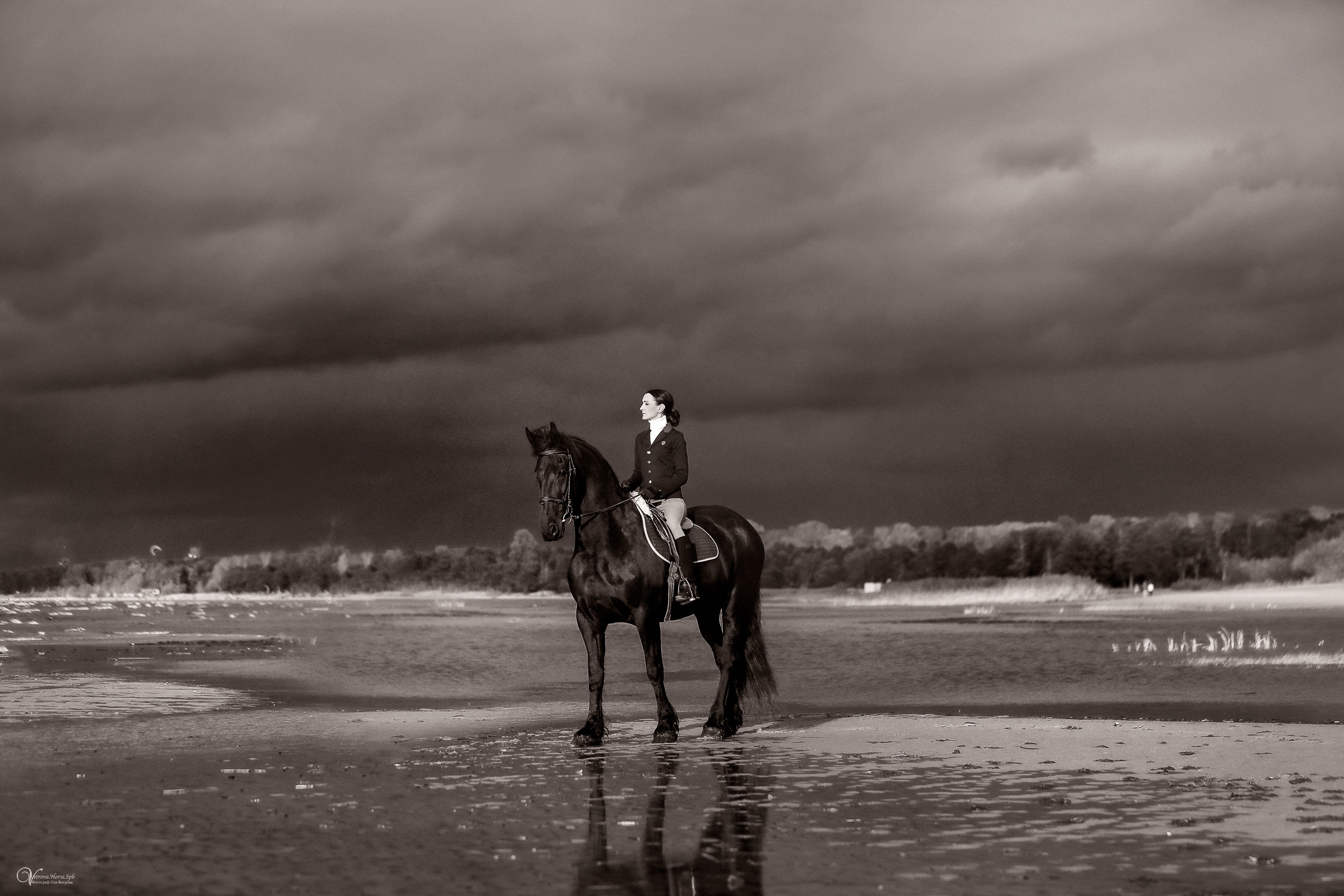Осенняя съемка с лошадью В СПБ. Фотограф женский и мужской портрет Санкт-Петербург