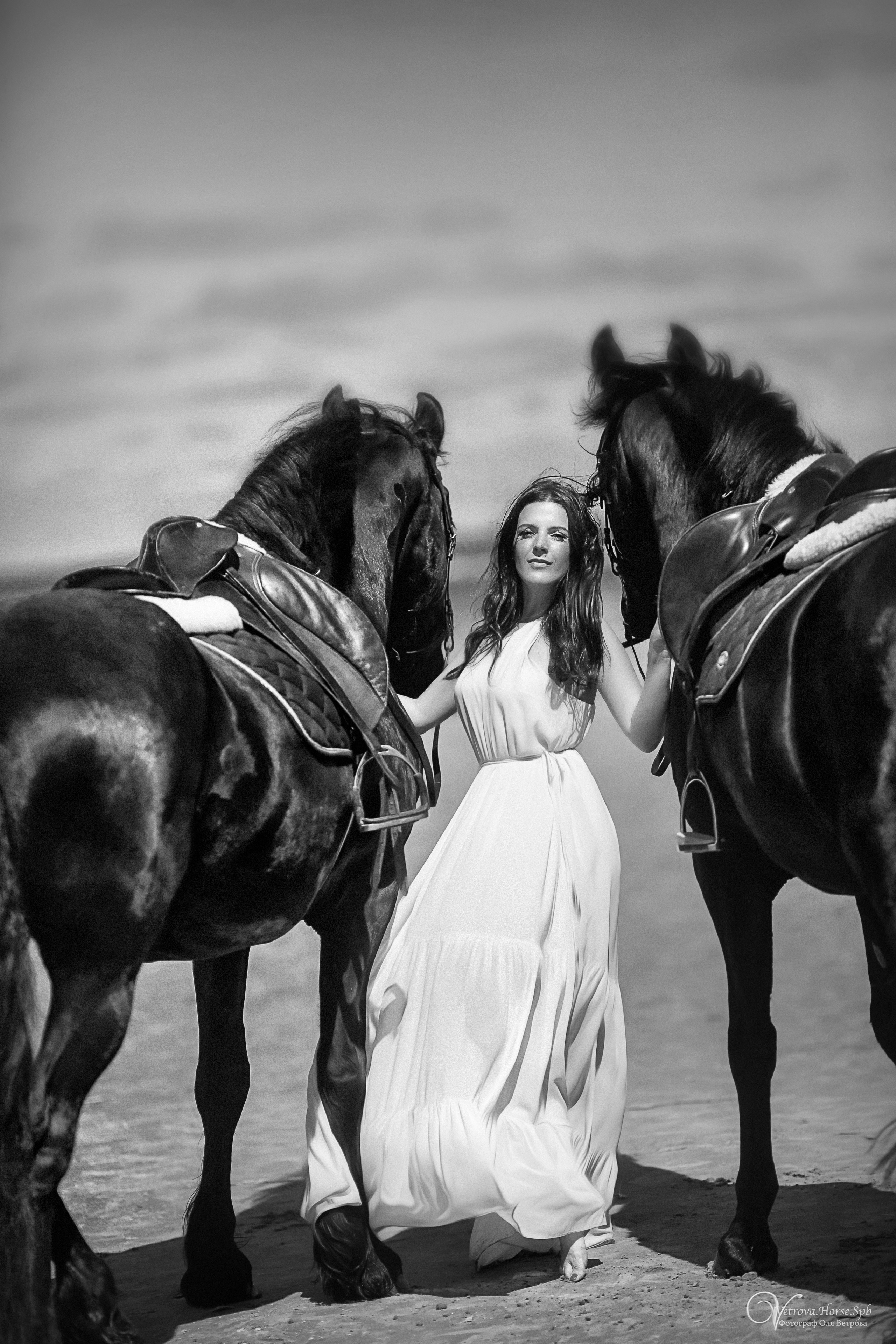 Фотосессия  с двумя конями в Санкт-Петербурге. Фотограф женский и мужской портрет Санкт-Петербург