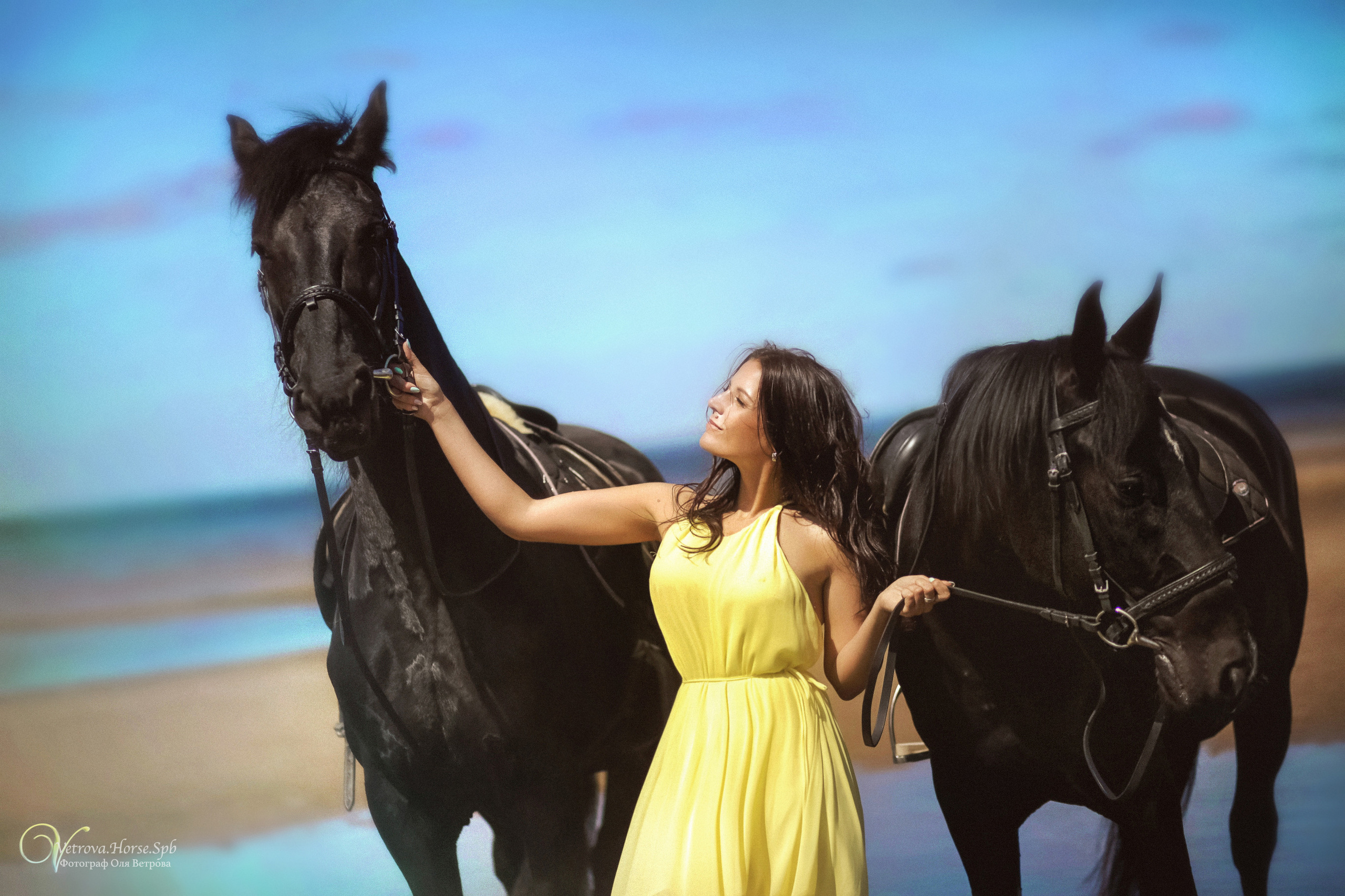 Фотосессия  с двумя конями в Санкт-Петербурге. Фотограф женский и мужской портрет Санкт-Петербург