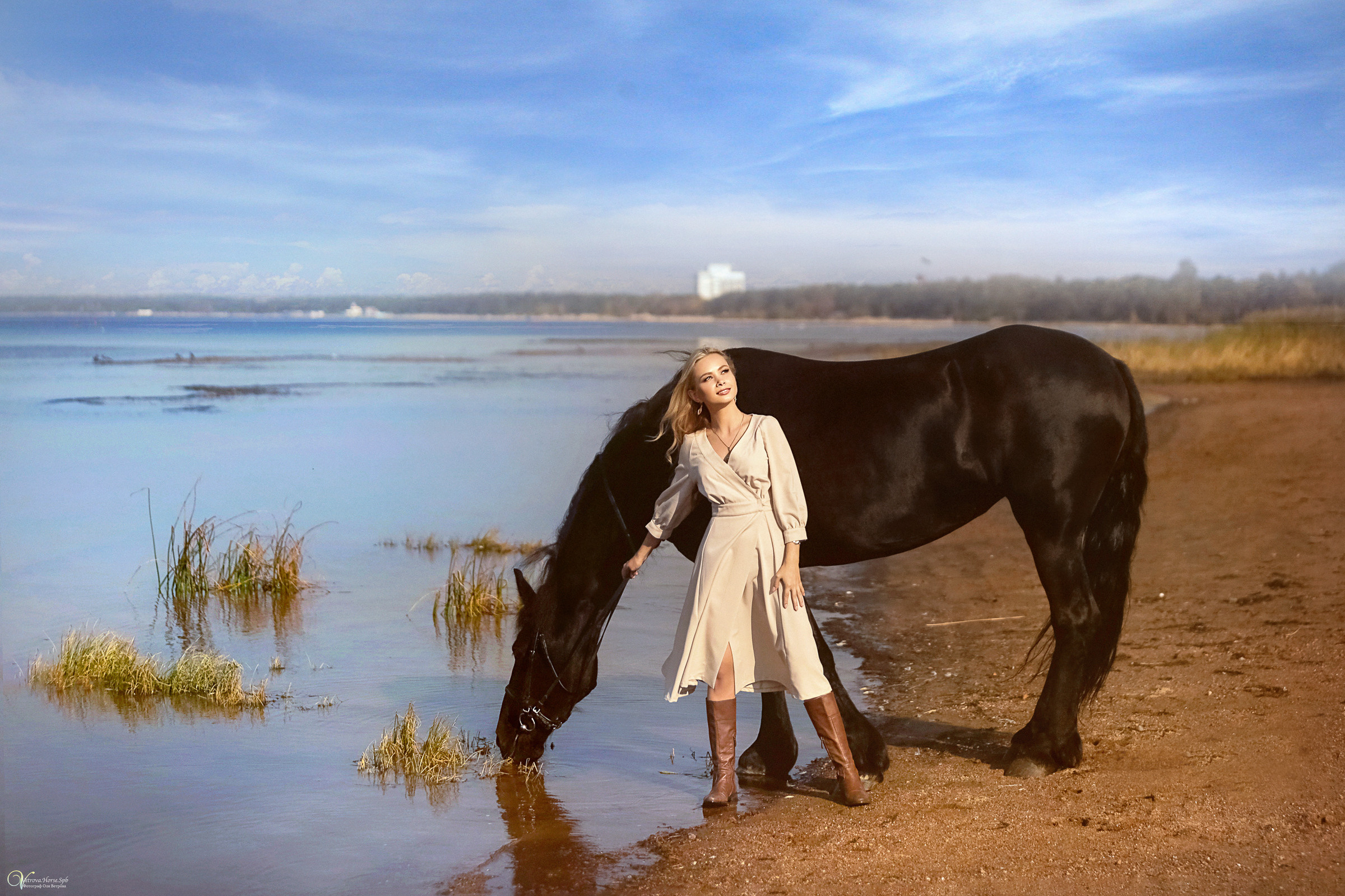 Фотосессия с вороным конем в СПб. Фотограф женский и мужской портрет Санкт-Петербург
