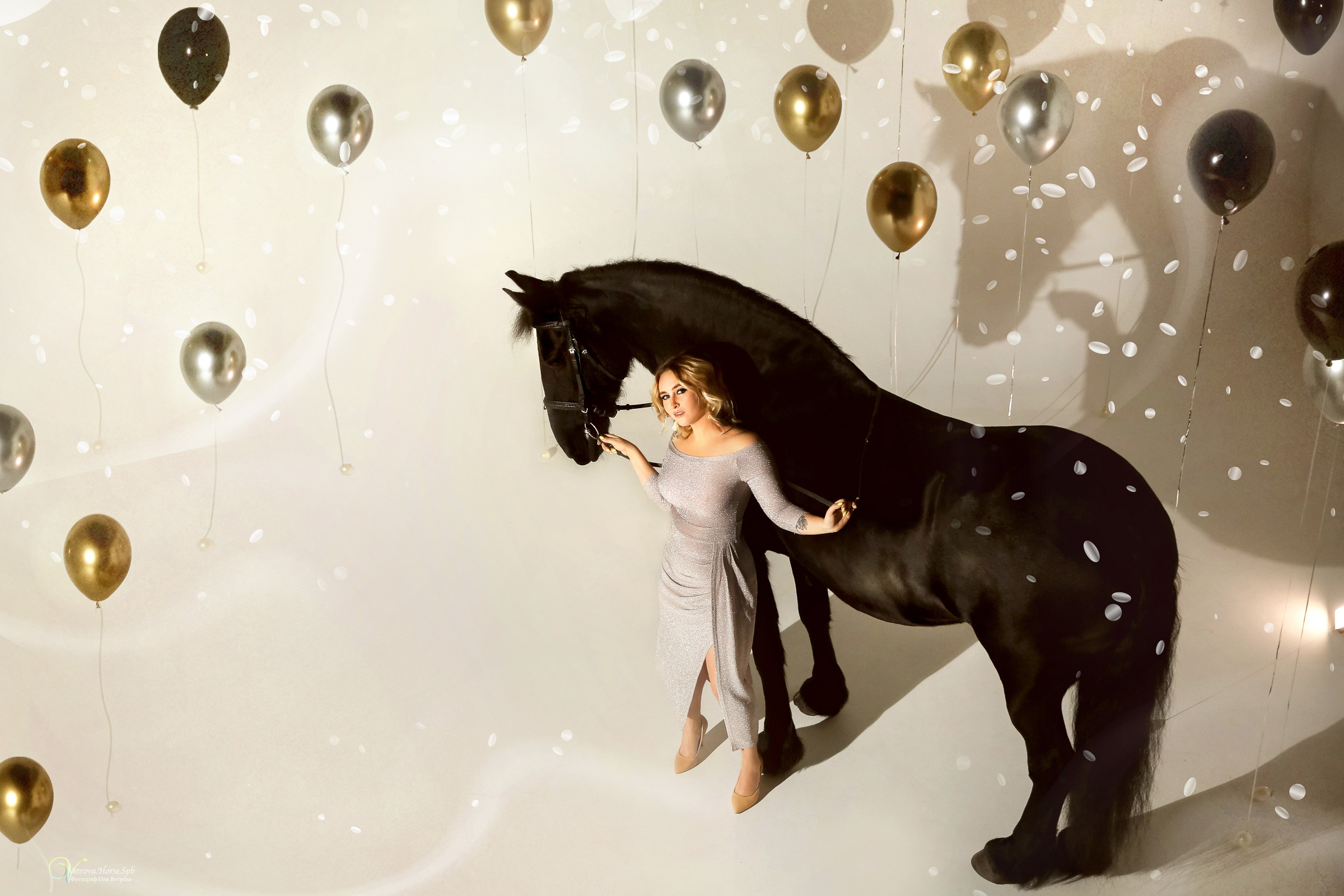 Фотосессия в студии с лошадью в СПб. Фотограф женский и мужской портрет Санкт-Петербург